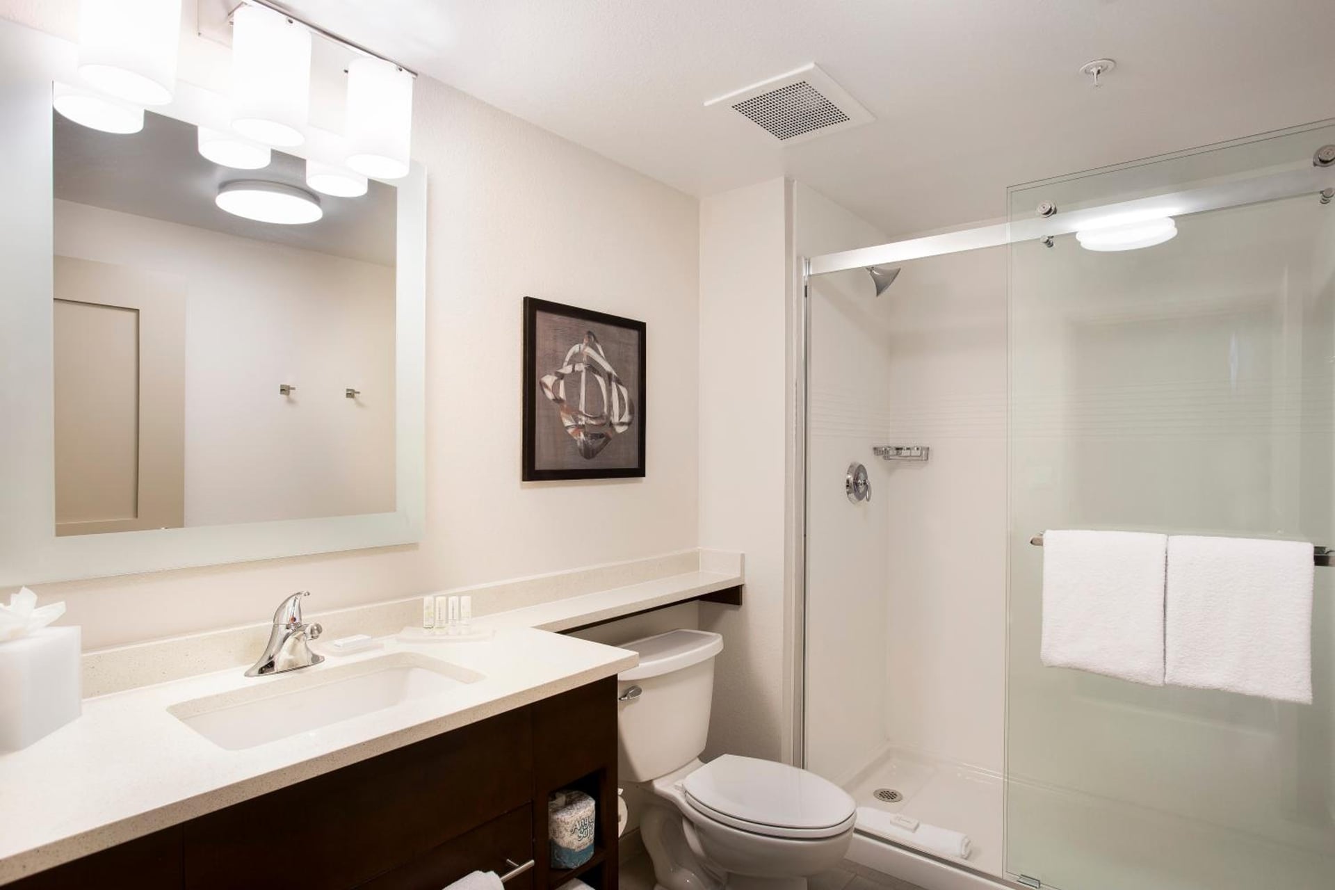 TownePlace Suites by Marriott San Mateo Foster City, San Mateo, foto 3