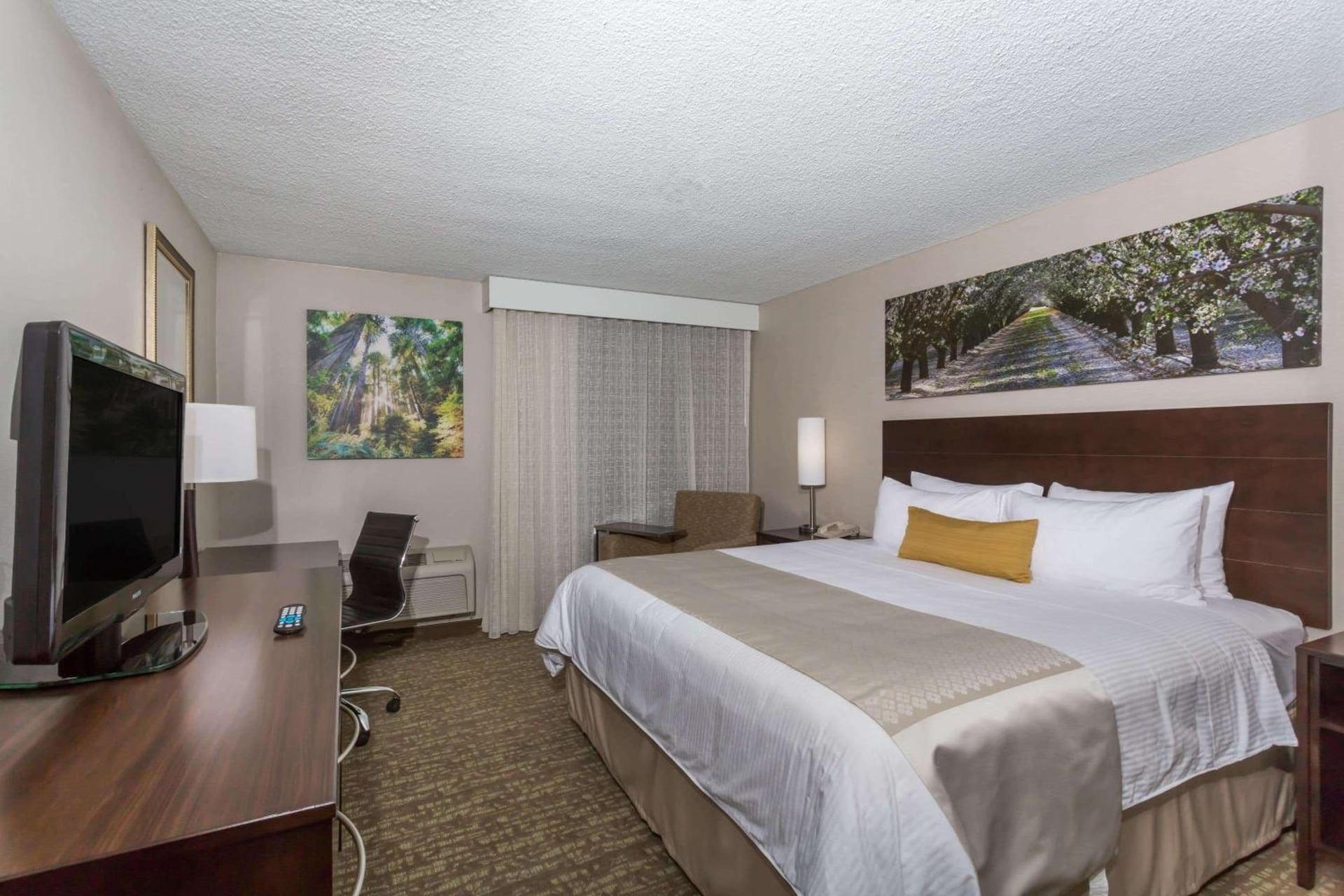Wyndham Garden Fresno Yosemite Airport, Fresno, foto 5