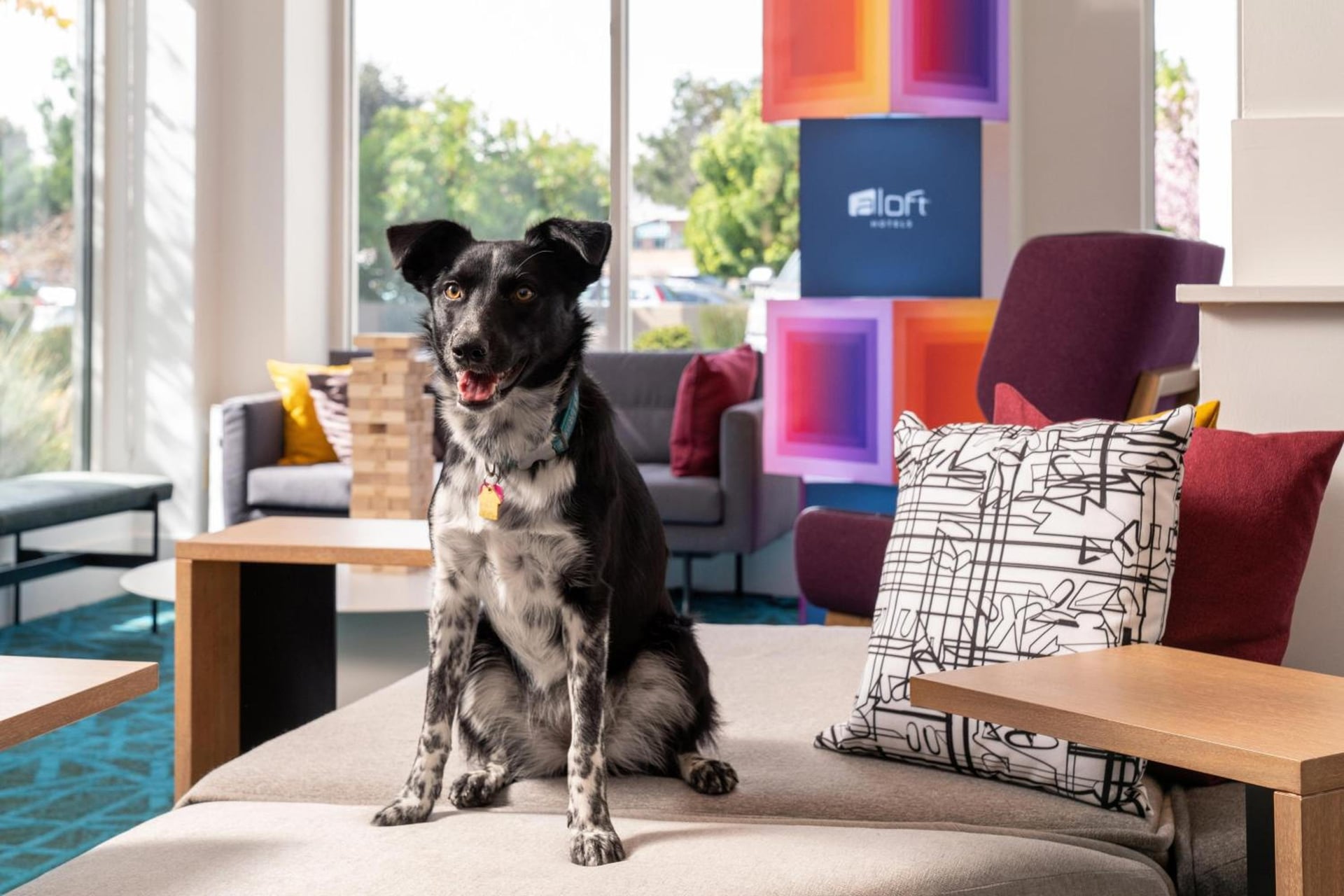 Aloft by Marriott Mountain View, Mountain View, foto 4