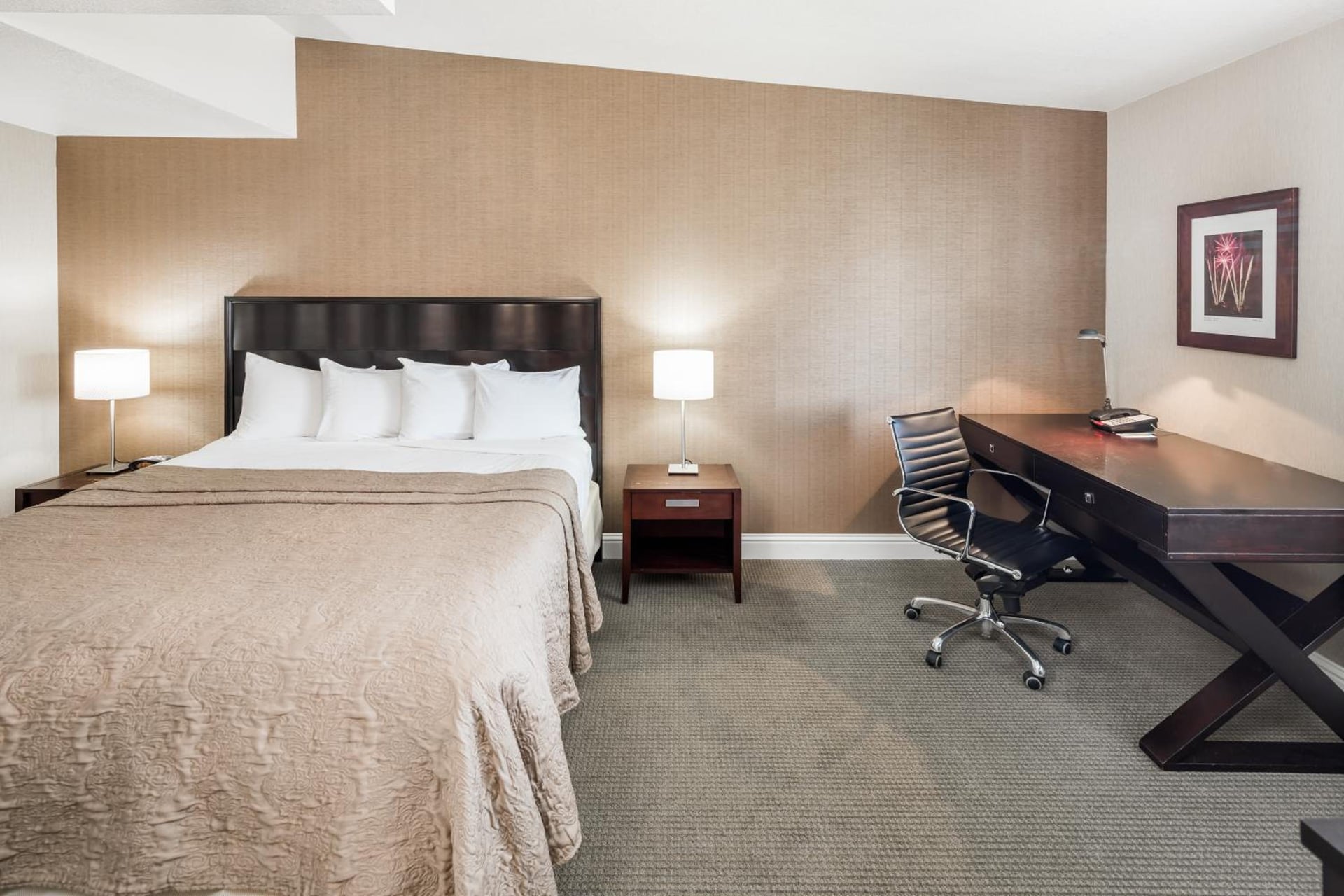 Lions Gate Hotel, Mcclellan, foto 4