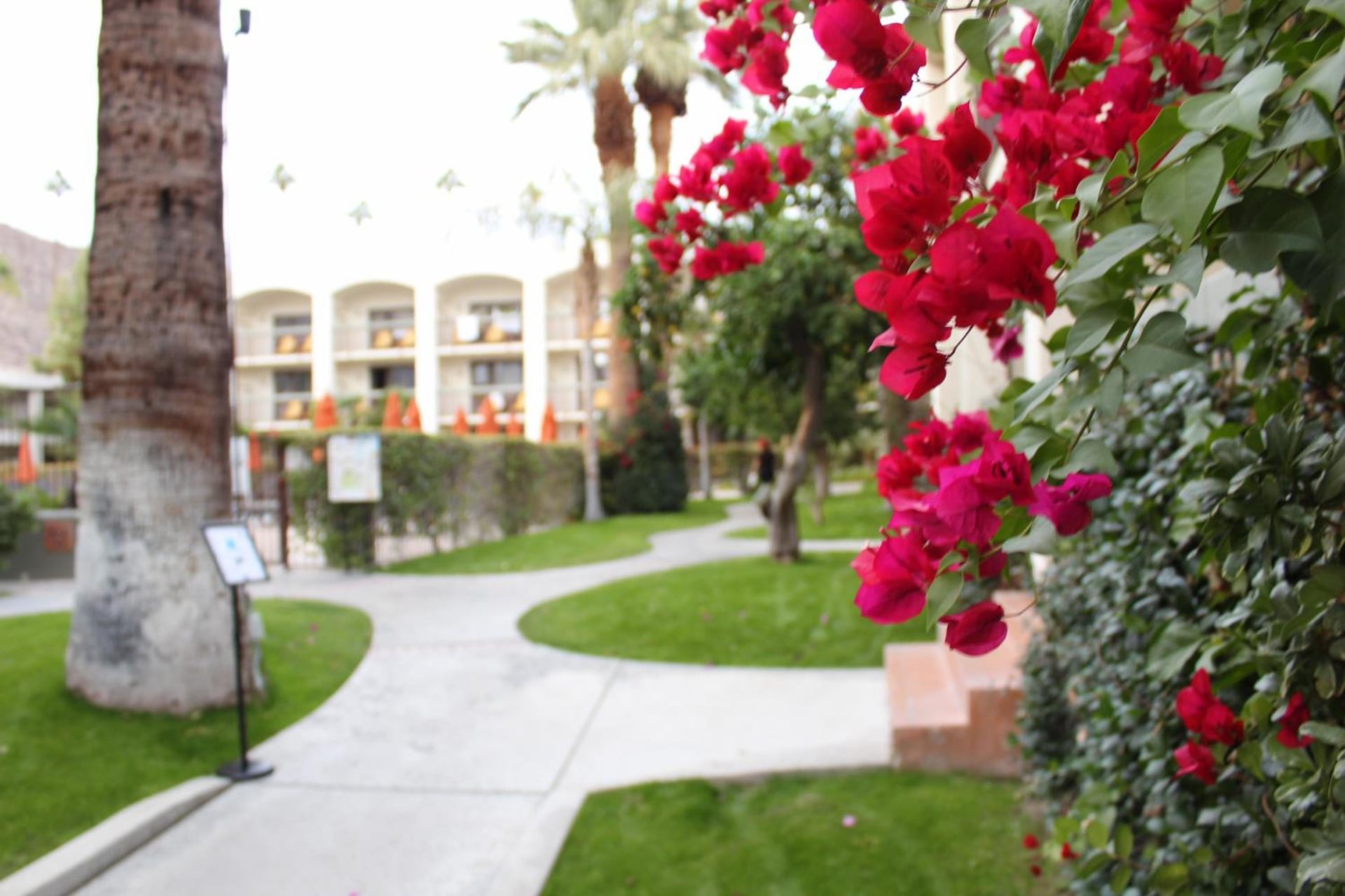 Palm Mountain Resort & Spa, Palm Springs, foto 5