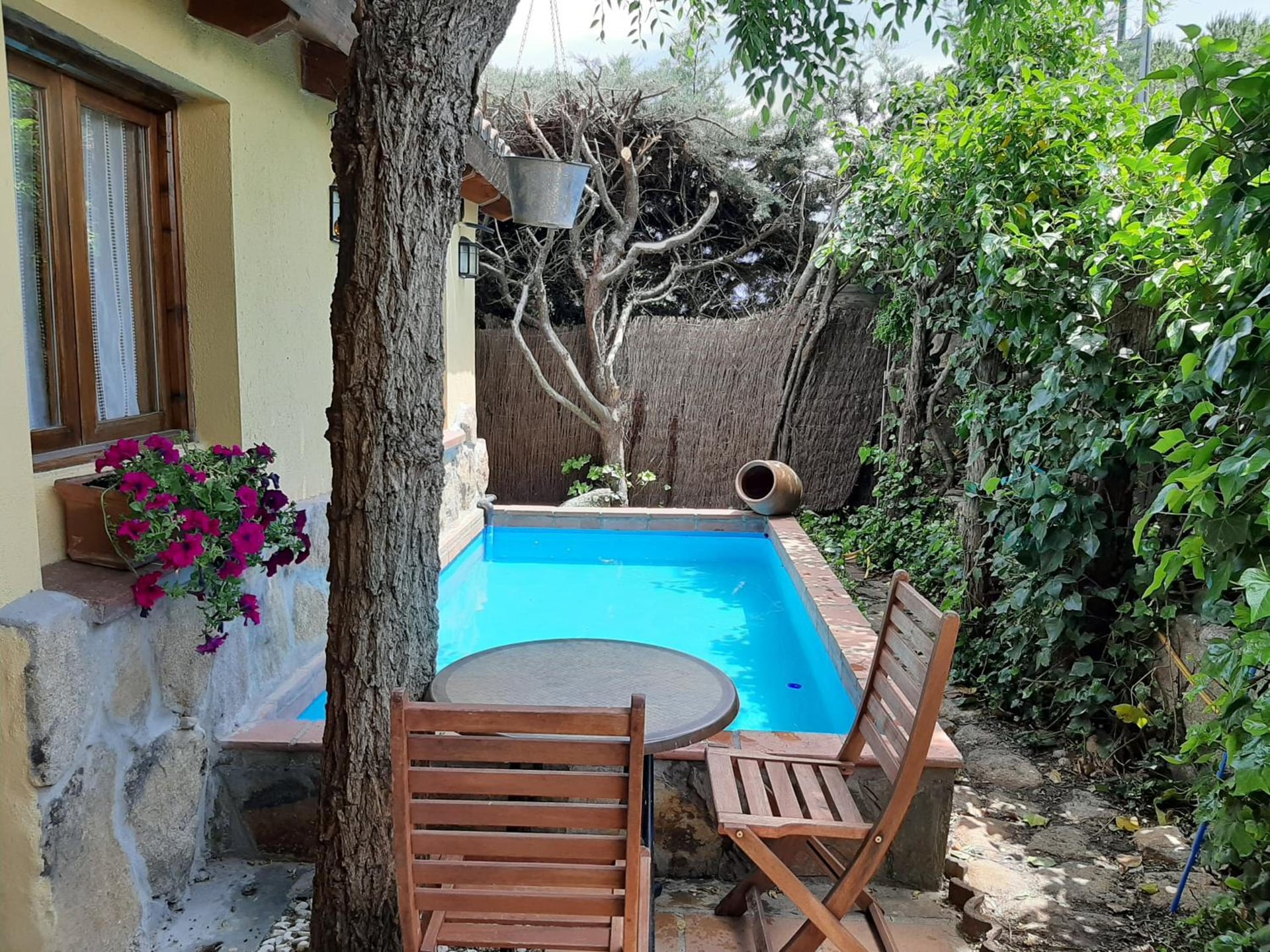 Acogedora casa rural en la sierra de Madrid, Mataelpino, foto 5