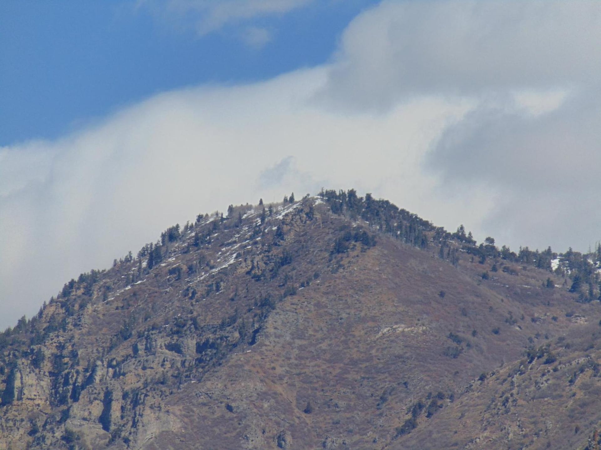 Holiday Inn Express & Suites Springville-South Provo Area by IHG, Springville, foto 5
