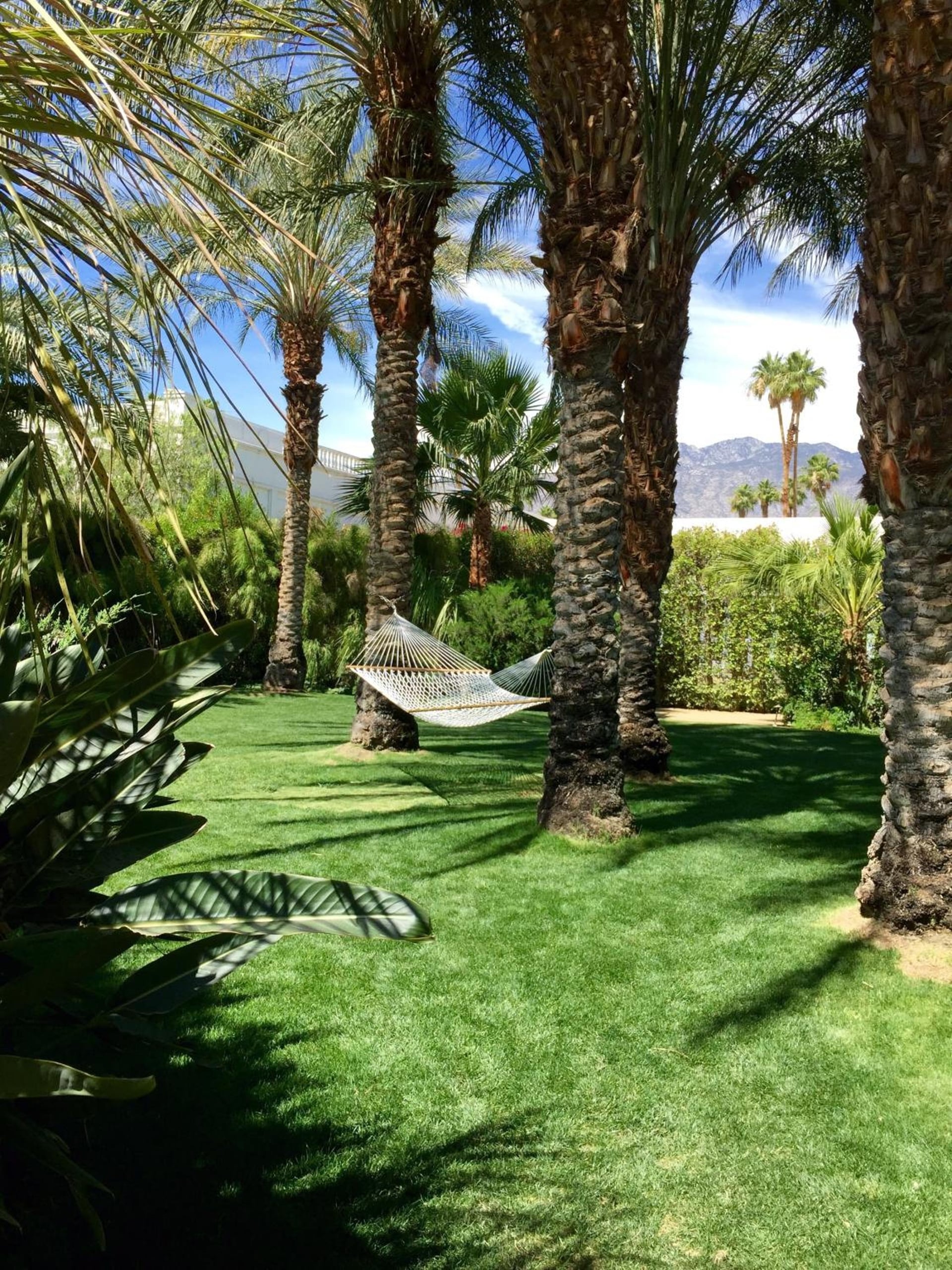 Parker Palm Springs, Palm Springs, foto 5
