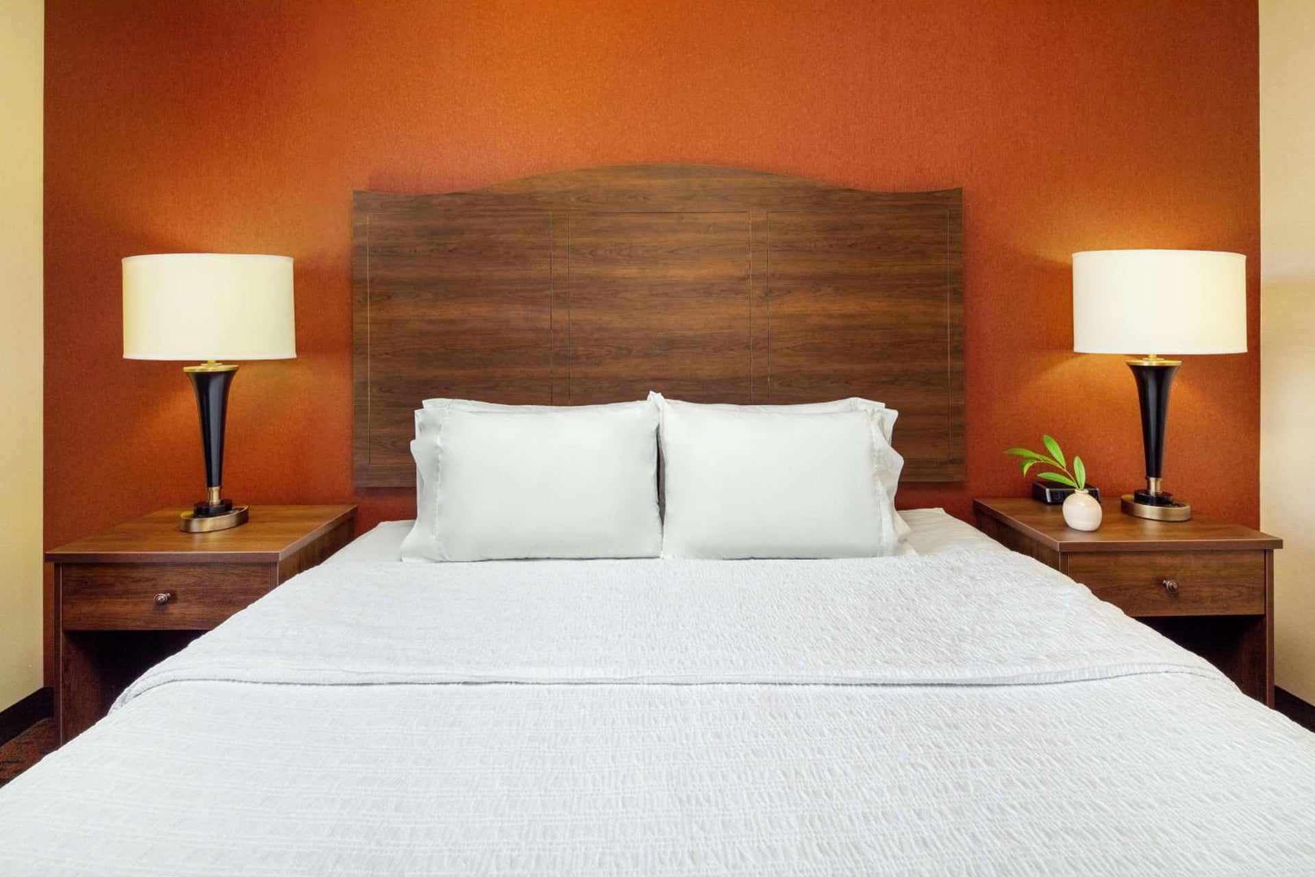 Hampton Inn & Suites Scottsdale at Talking Stick, Scottsdale, foto 4