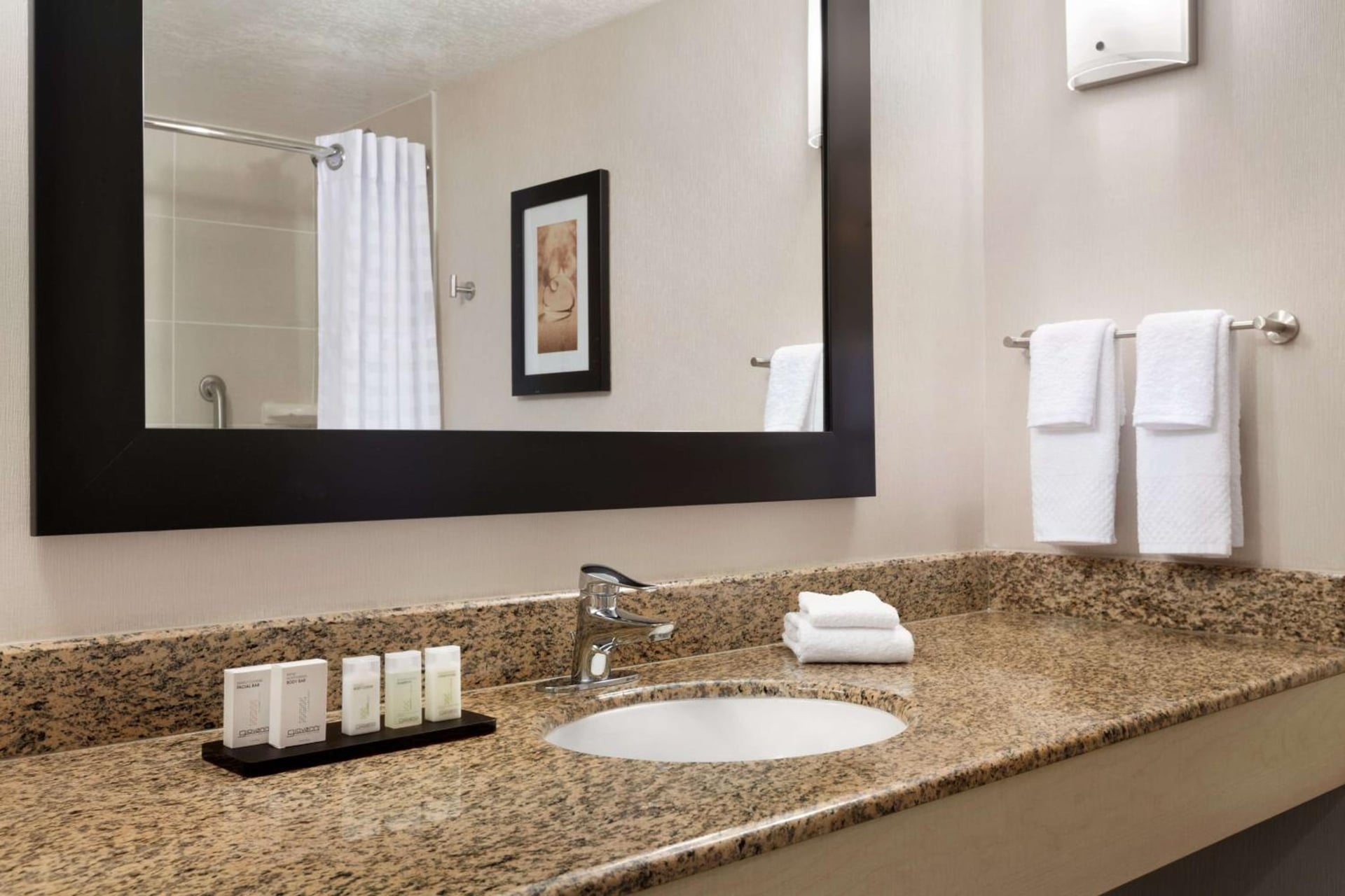 Embassy Suites by Hilton Convention Center Las Vegas, Las Vegas, foto 5