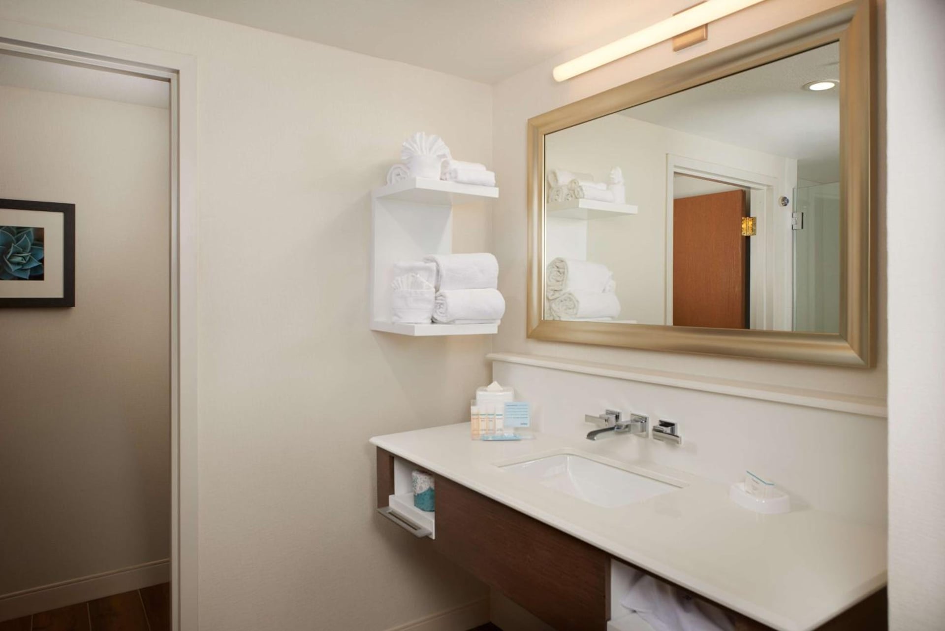 Hampton Inn & Suites Phoenix/Scottsdale, Scottsdale, foto 4