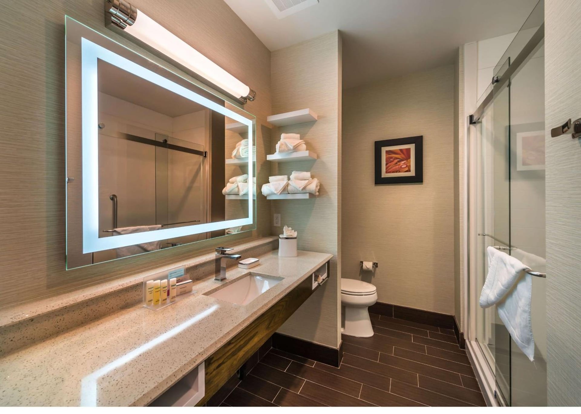 Hampton Inn & Suites - Reno West, NV, Reno, foto 5