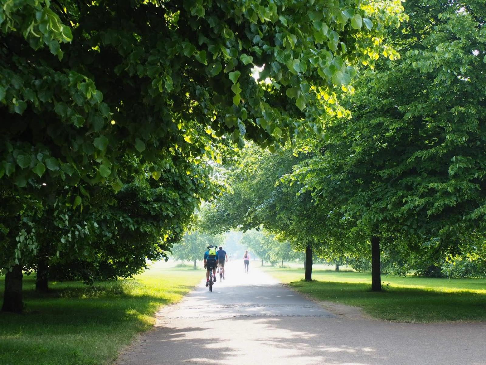 DoubleTree by Hilton London - Hyde Park, London, foto 4