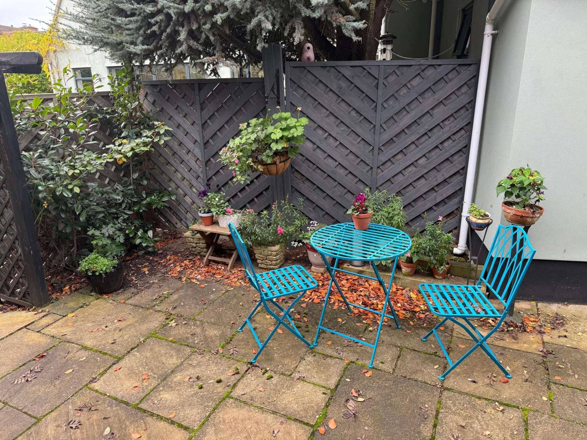 Thistle Lodge - Quiet Garden lodge with off road parking, Hemel Hempstead, foto 5
