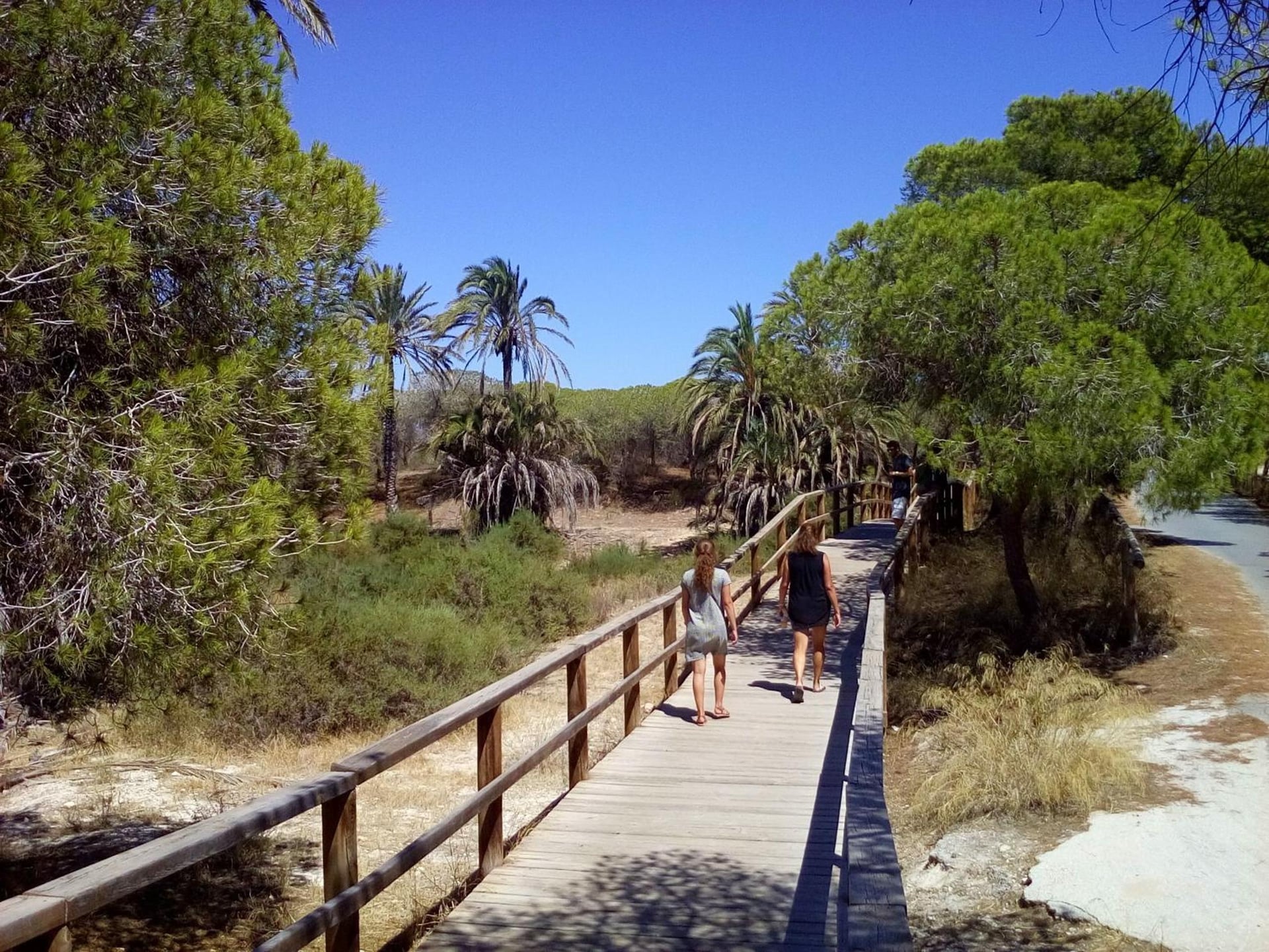 Casa Pelican, Orihuela Costa, foto 4