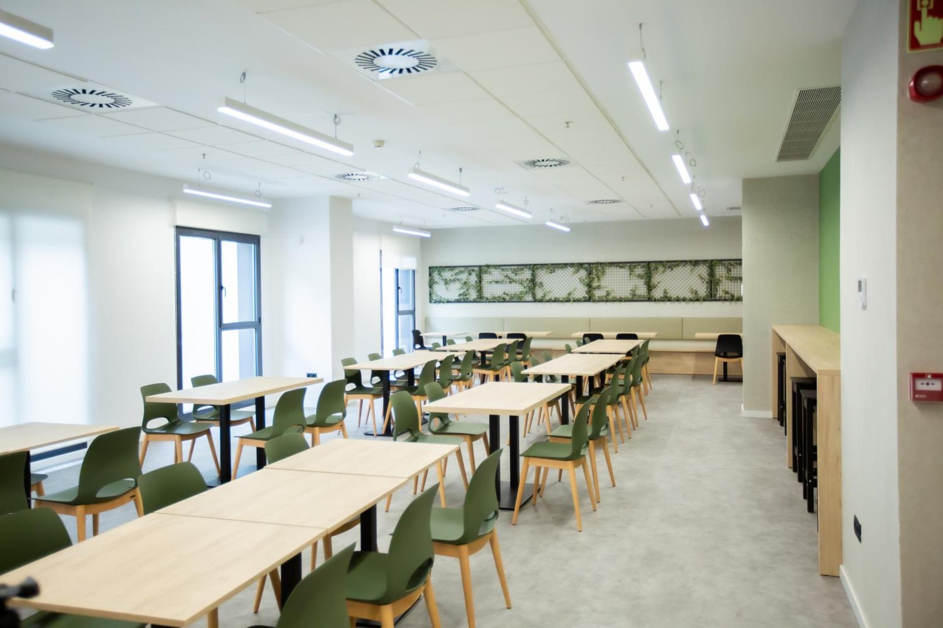 Micampus Burjassot Parque Student Residence, Burjasot, foto 5
