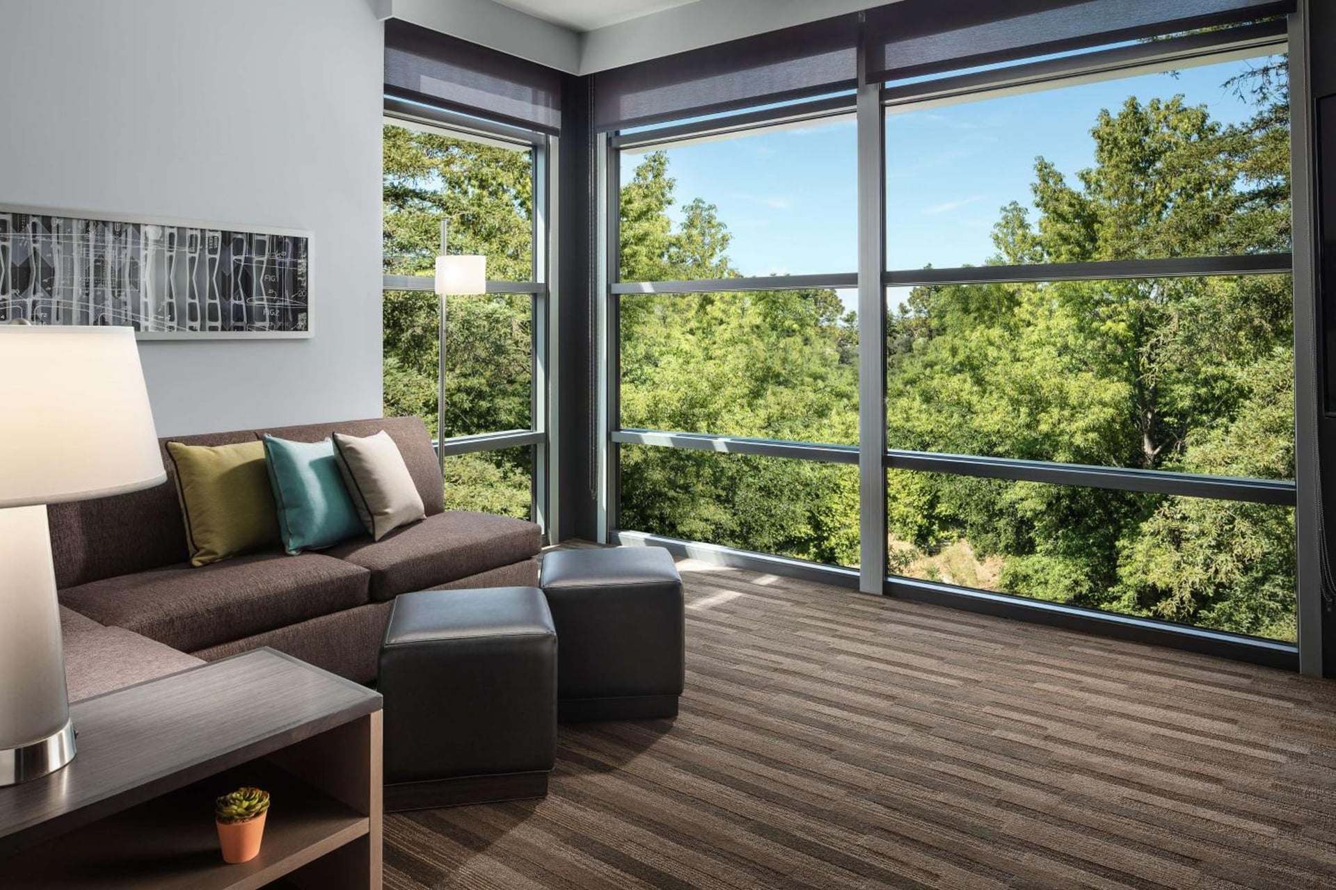 Hyatt House San Jose/Cupertino, Phoenix, foto 4