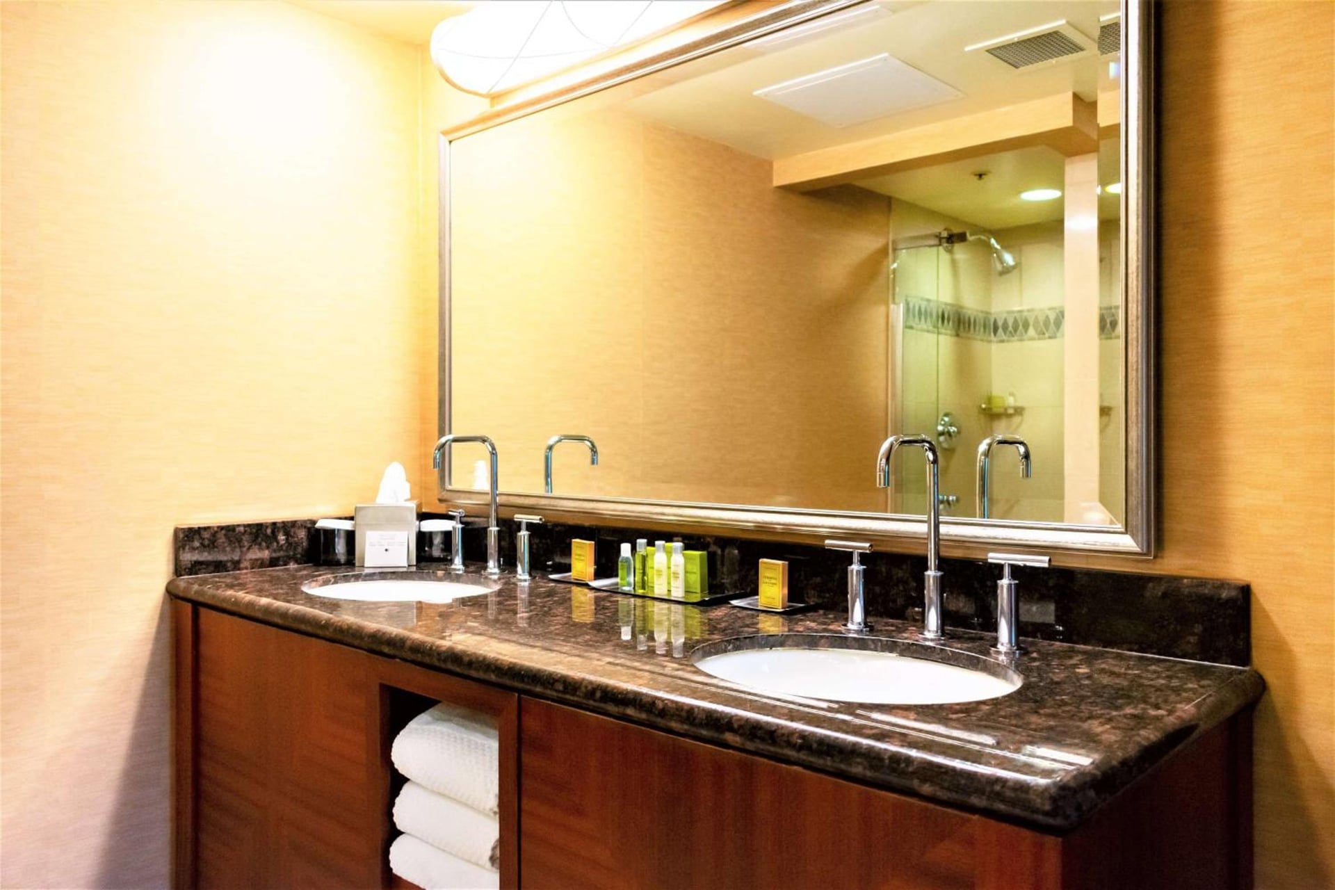 DoubleTree by Hilton San Jose, San Jose, foto 4