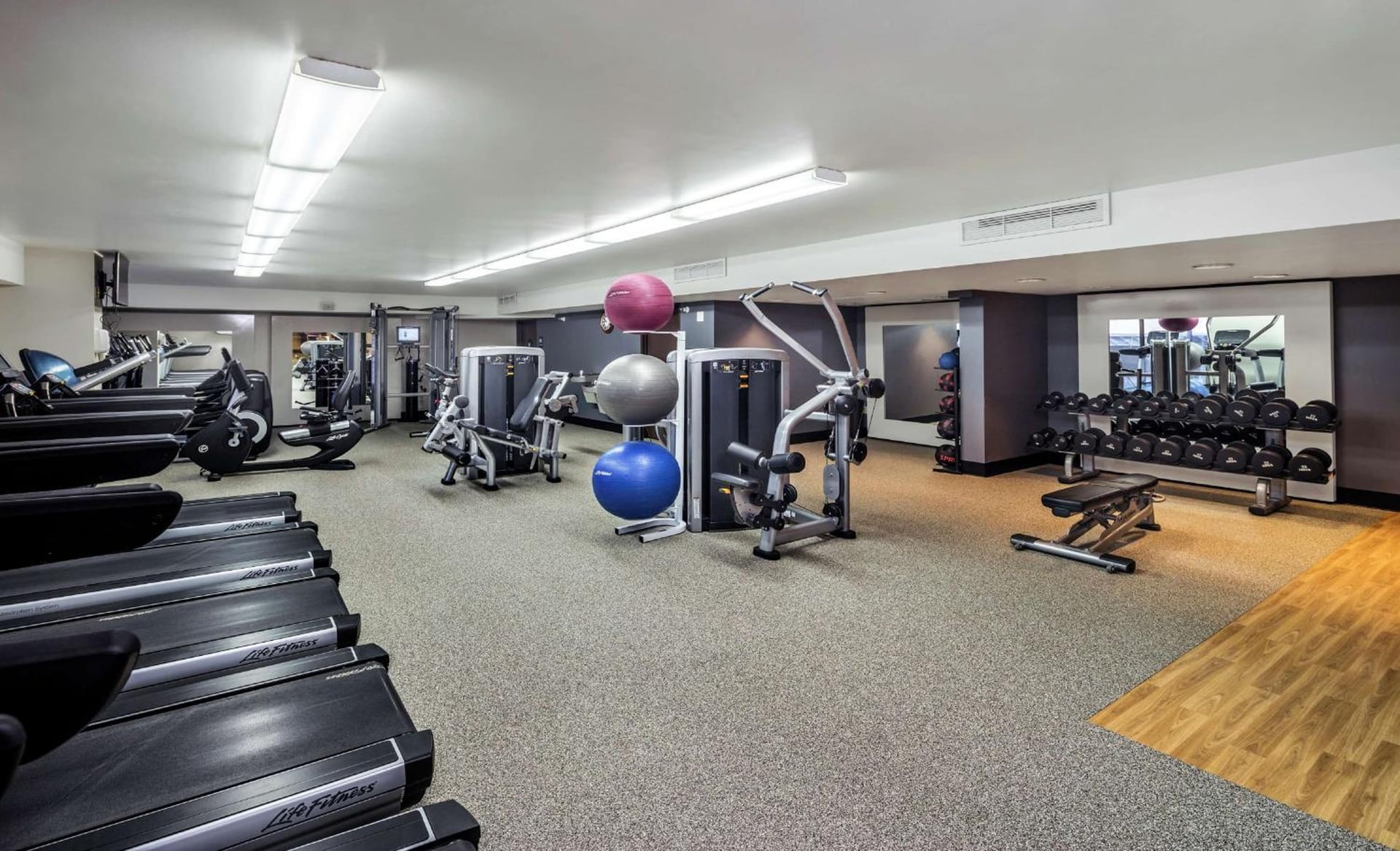 DoubleTree by Hilton San Jose, San Jose, foto 5