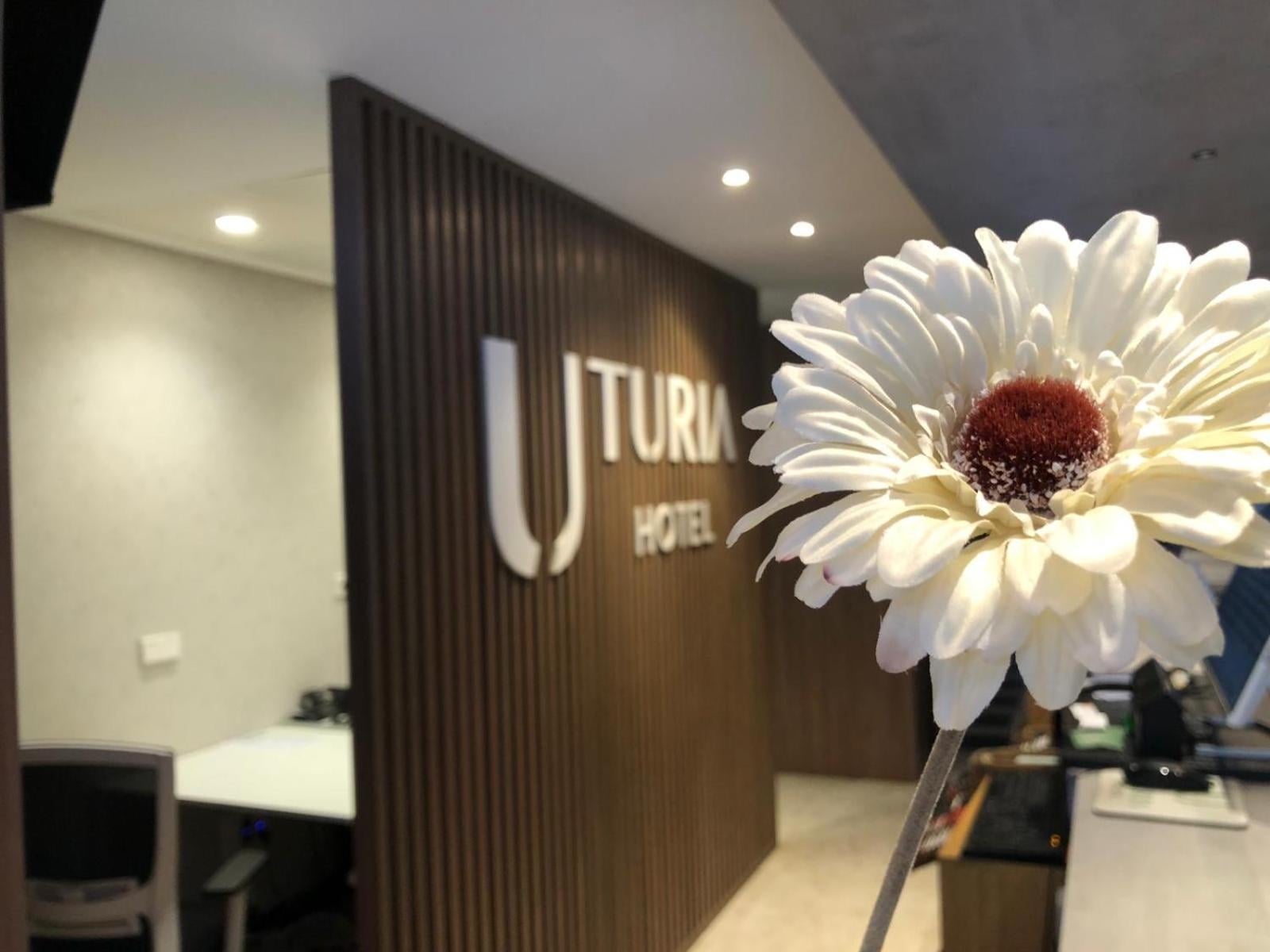 Hotel Turia Valencia, Valencia, foto 4