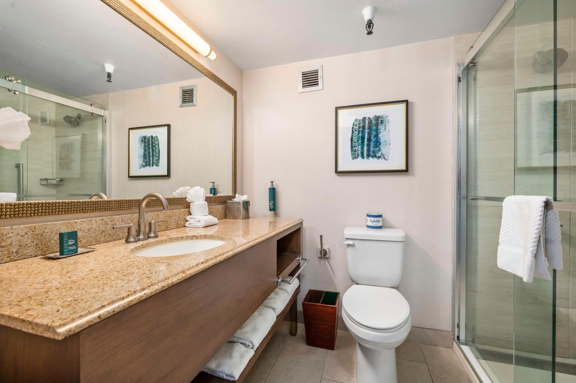 DoubleTree by Hilton Tucson-Reid Park, Tucson, foto 2