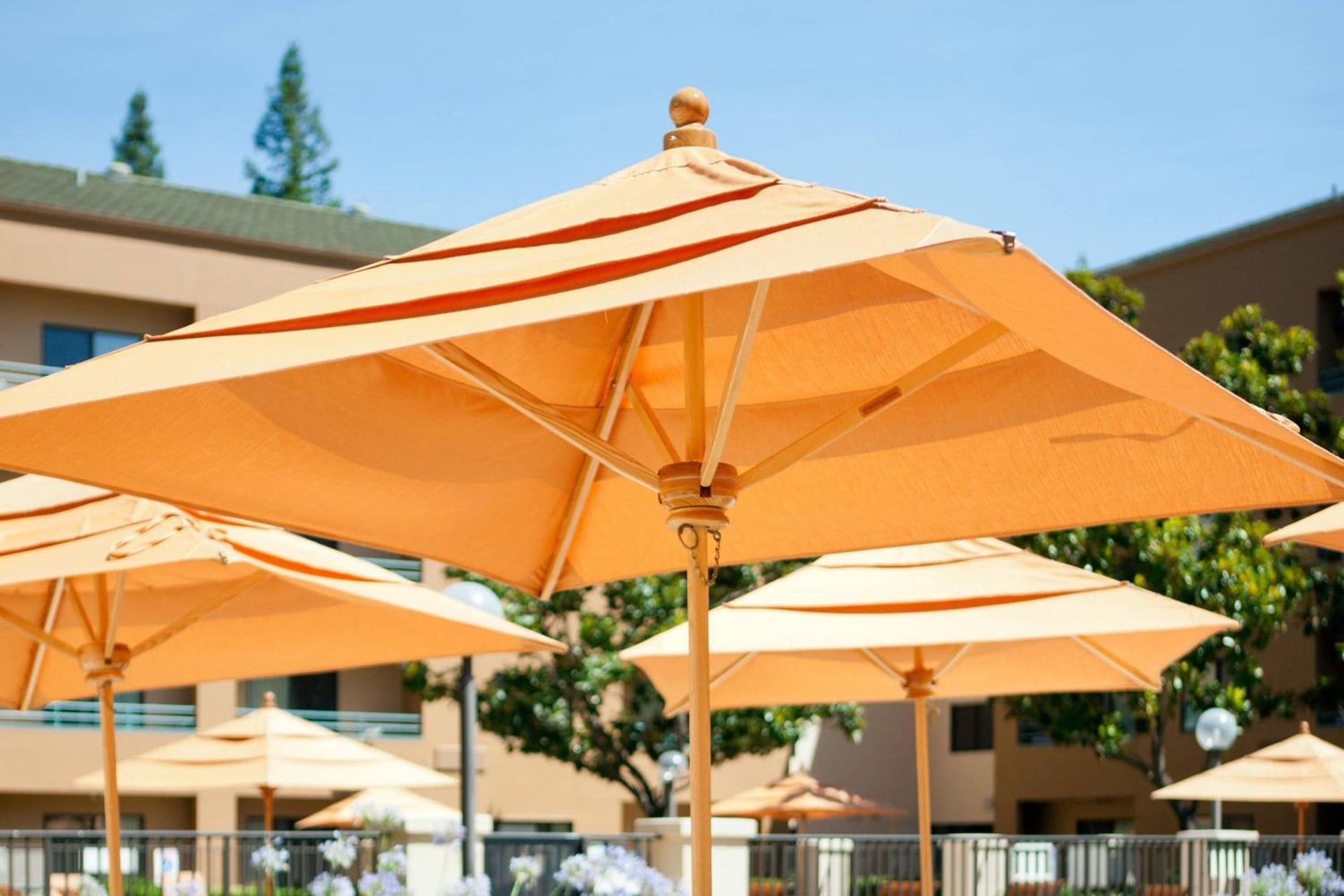 Courtyard Sacramento Airport Natomas, Sacramento, foto 2