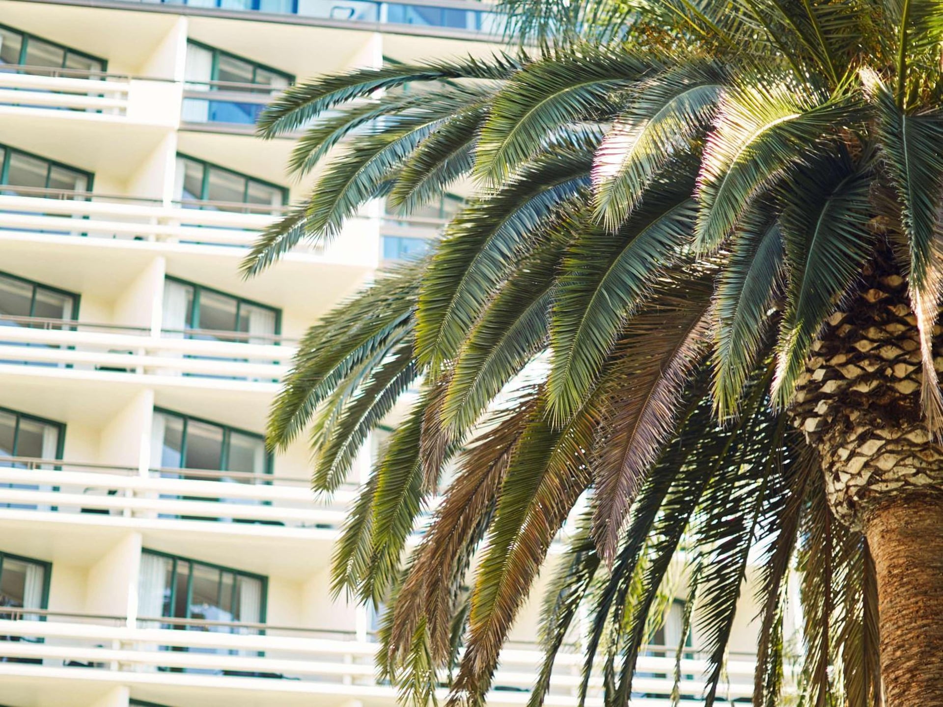 Fairmont Miramar Hotel & Bungalows, Santa Monica, foto 3