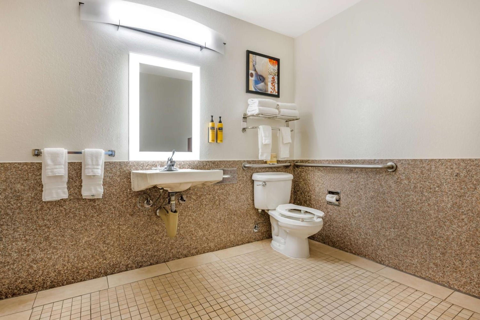 Best Western Plus Orange County Airport North, Santa Ana, foto 2