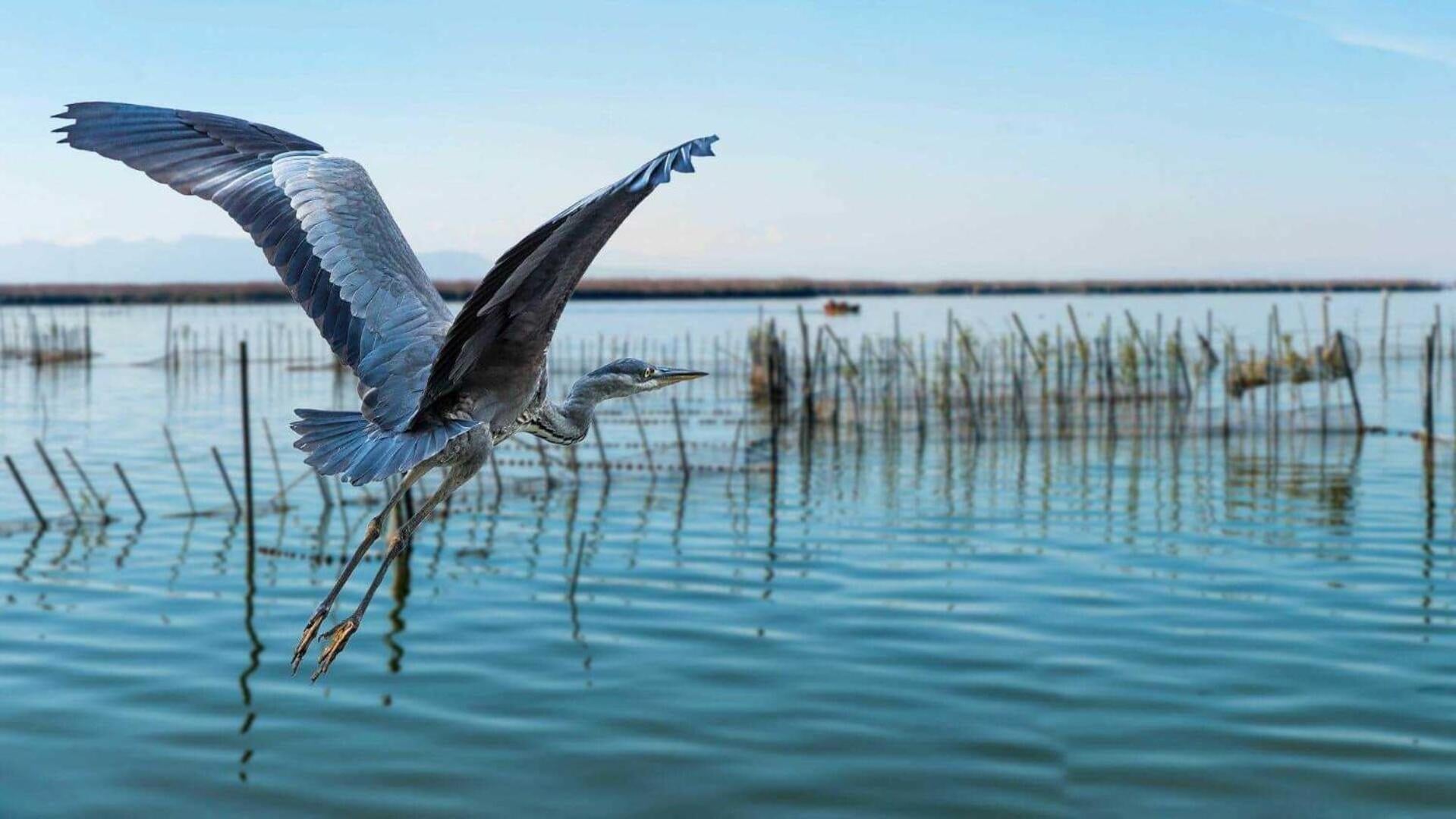 Albufera Dreams Nature Suites, Valencia, foto 2