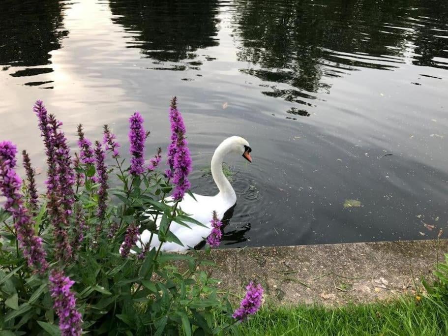 RIVER RETREAT- near Holloway U, Thorpe Park and Heathrow airport, Thorpe, foto 5