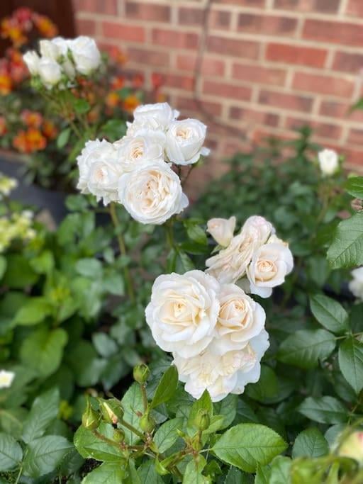 Garden flat in London, London, foto 5