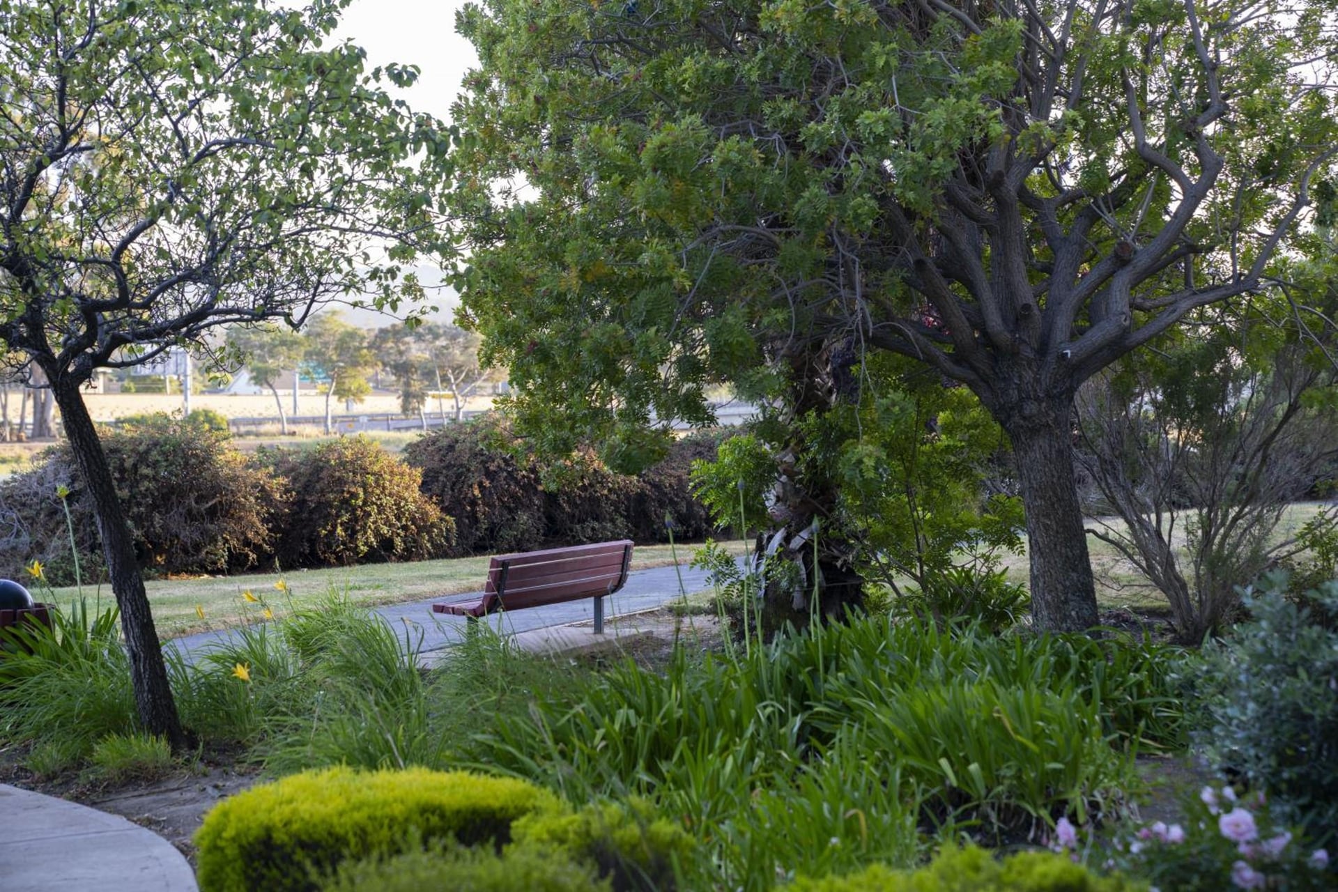 Courtyard San Francisco Airport Burlingame, Burlingame, foto 3