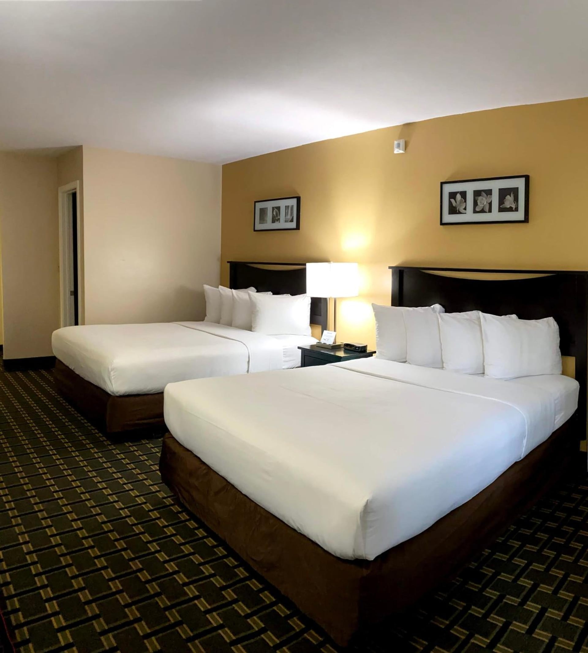 Stanford Inn & Suites Anaheim, Anaheim, foto 4