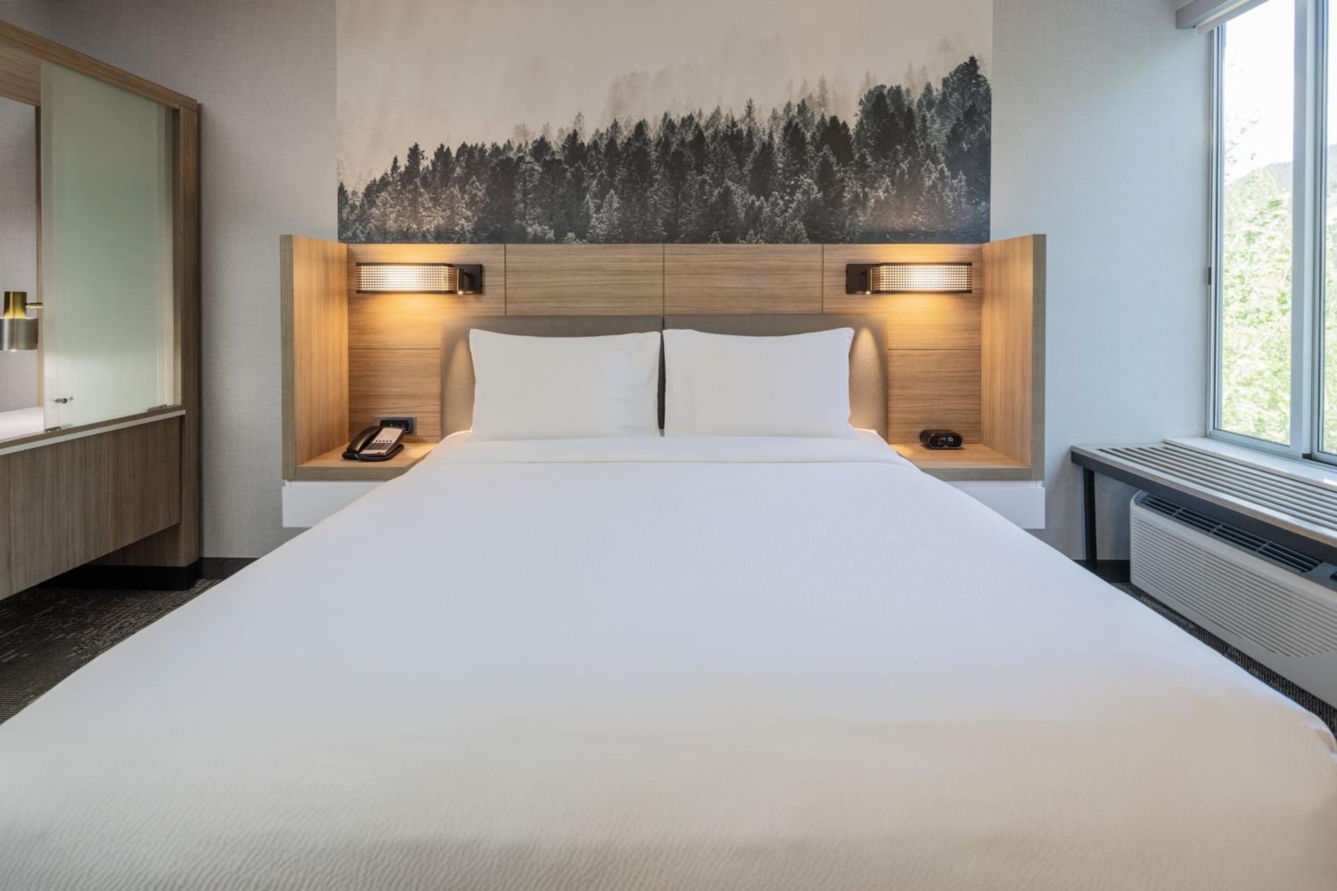 SpringHill Suites by Marriott Jackson Hole, Jackson, foto 5
