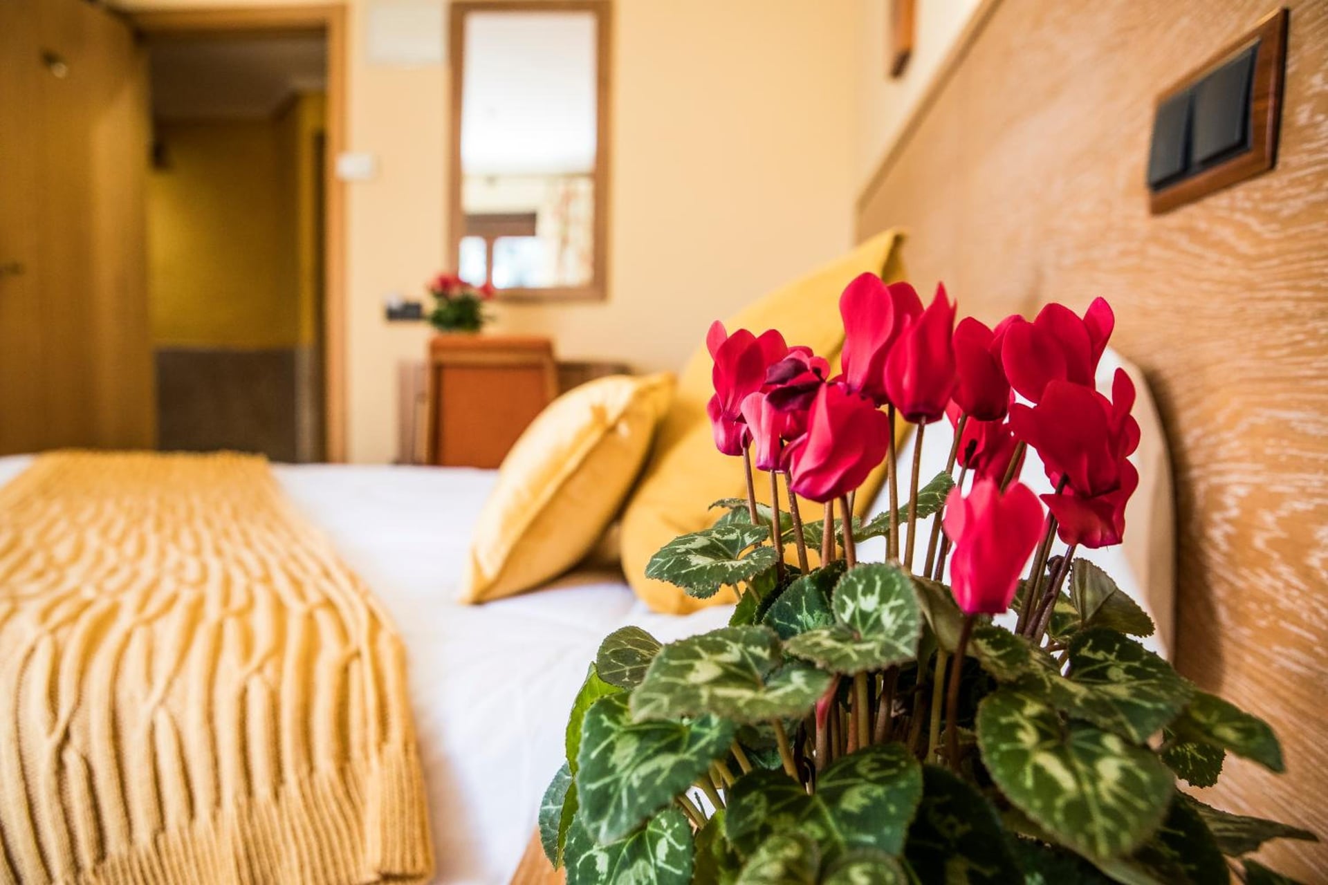 Hotel Casa José Díaz, San Agustín de Guadalix, foto 3