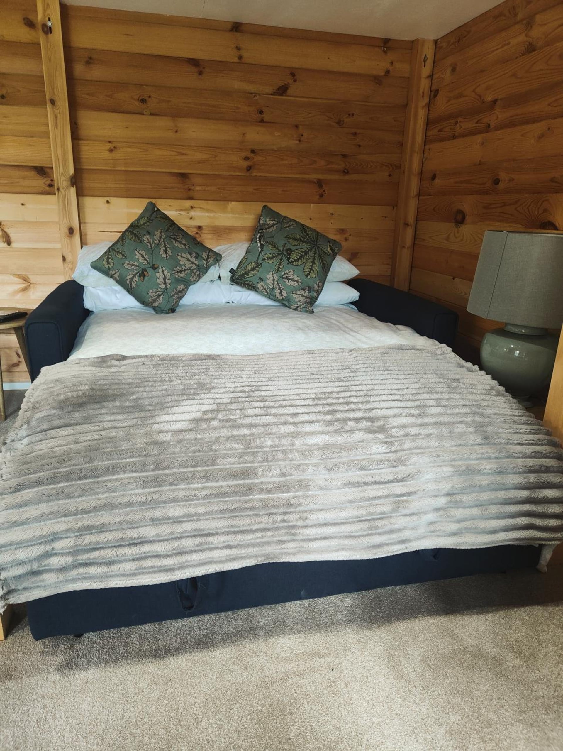 Walliswood Lodge - Wood Burner, Air Con & Wi-fi, Rural Retreat, Ewhurst, foto 2