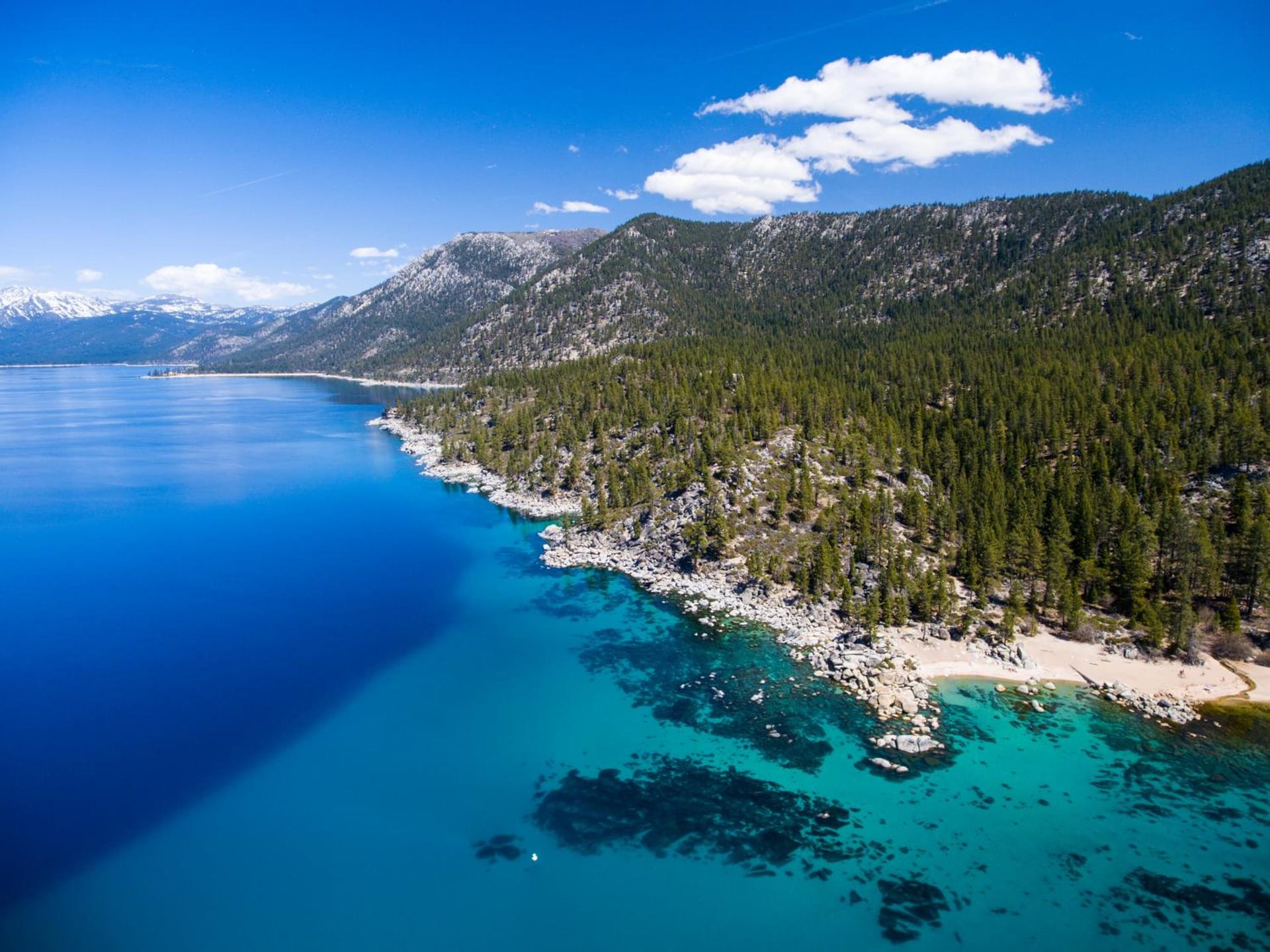 evo Hotel Tahoe City, Tahoe City, foto 4