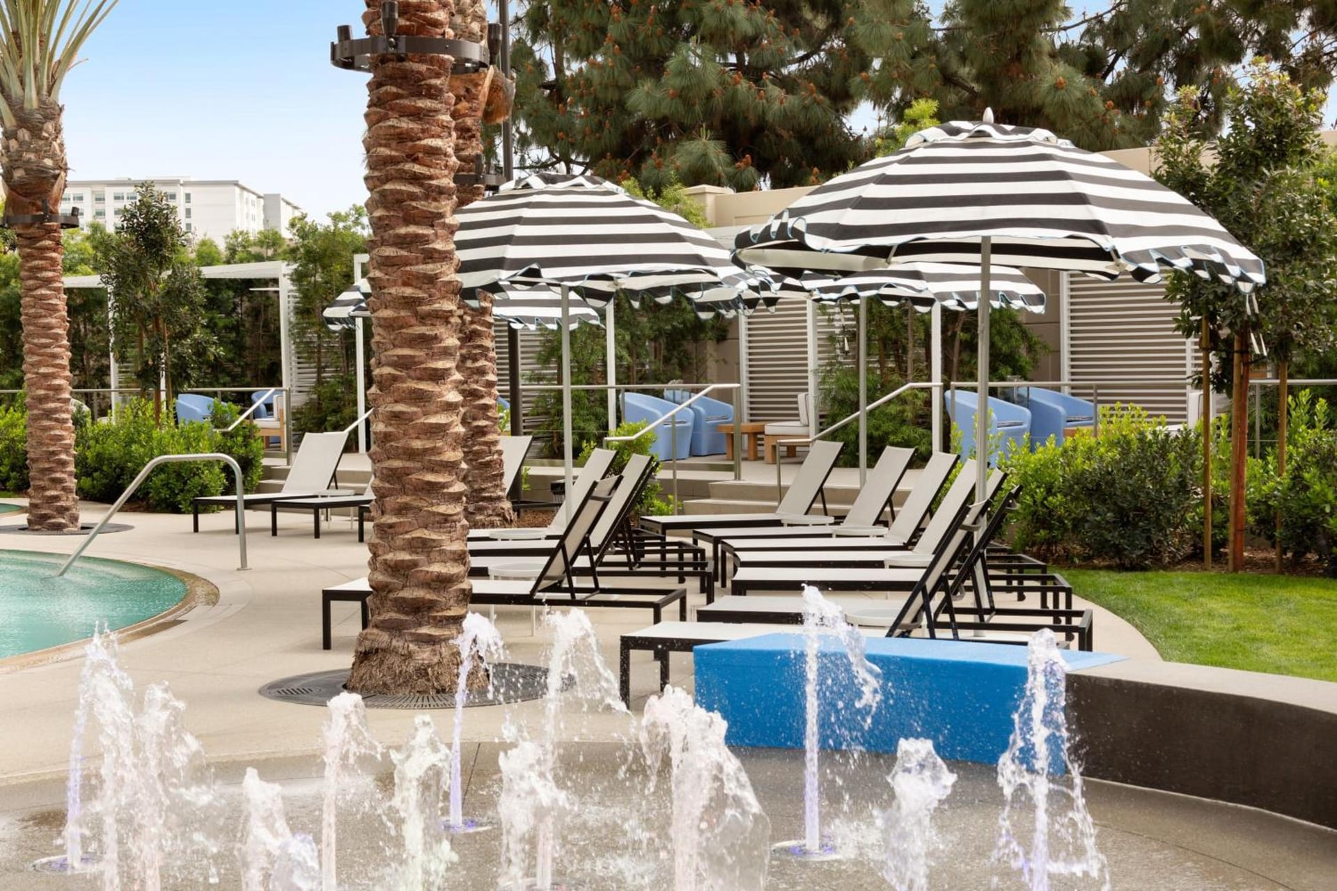 The Viv Hotel, Anaheim, a Tribute Portfolio Hotel, Anaheim, foto 4