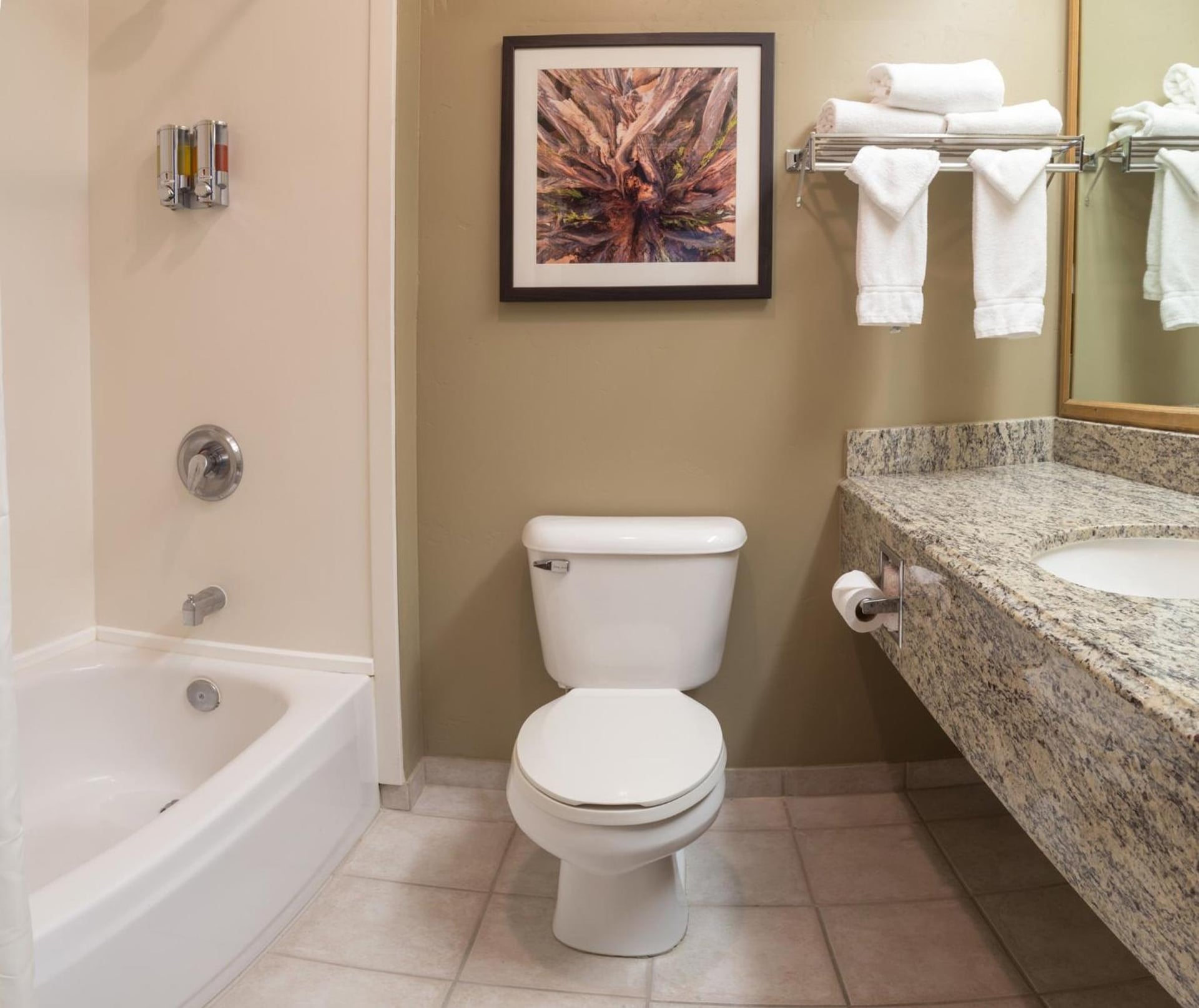 Gray Wolf Inn & Suites, West Yellowstone, foto 4
