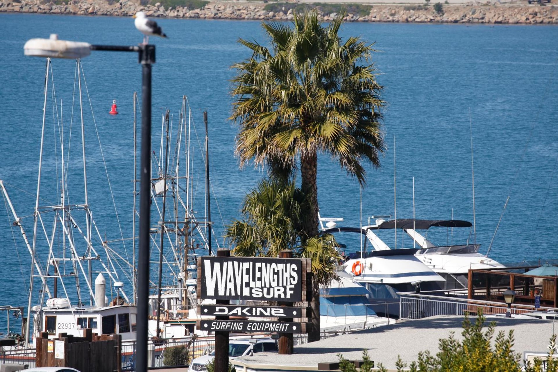 Blue Sail Inn, Morro Bay, foto 3
