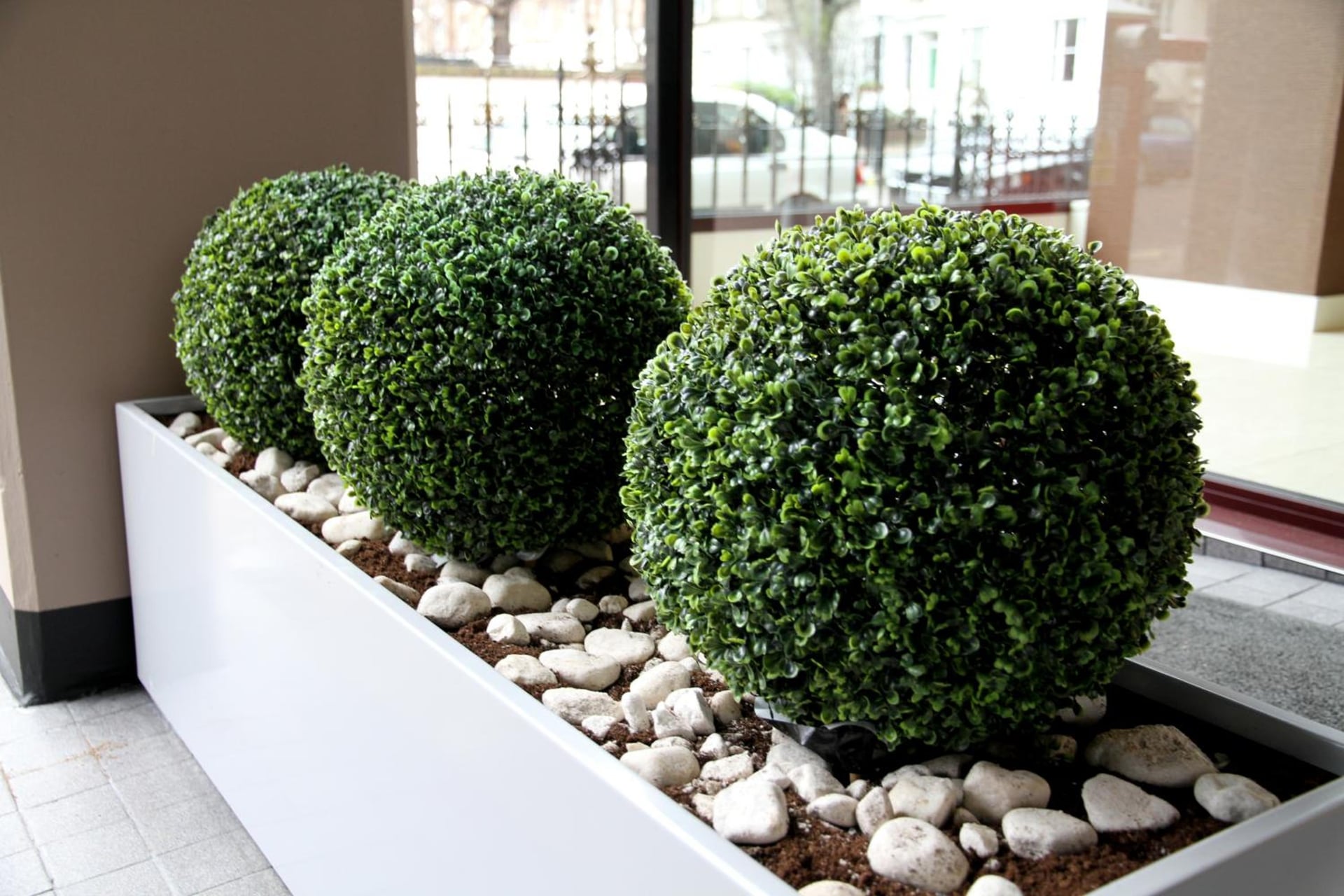 Hotel Lily, London, foto 4
