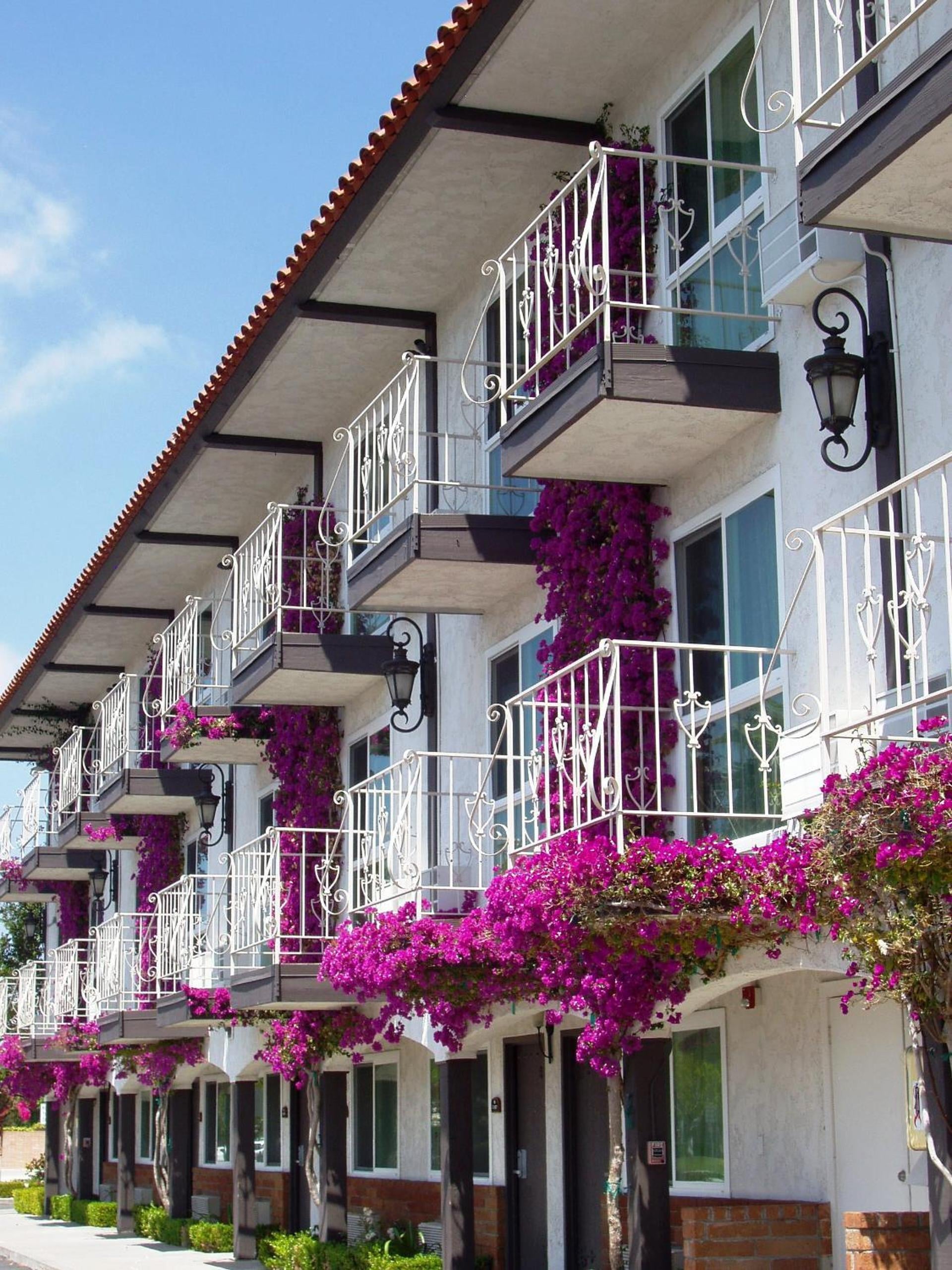 Laguna Hills Lodge-Irvine Spectrum, Laguna Hills, foto 5