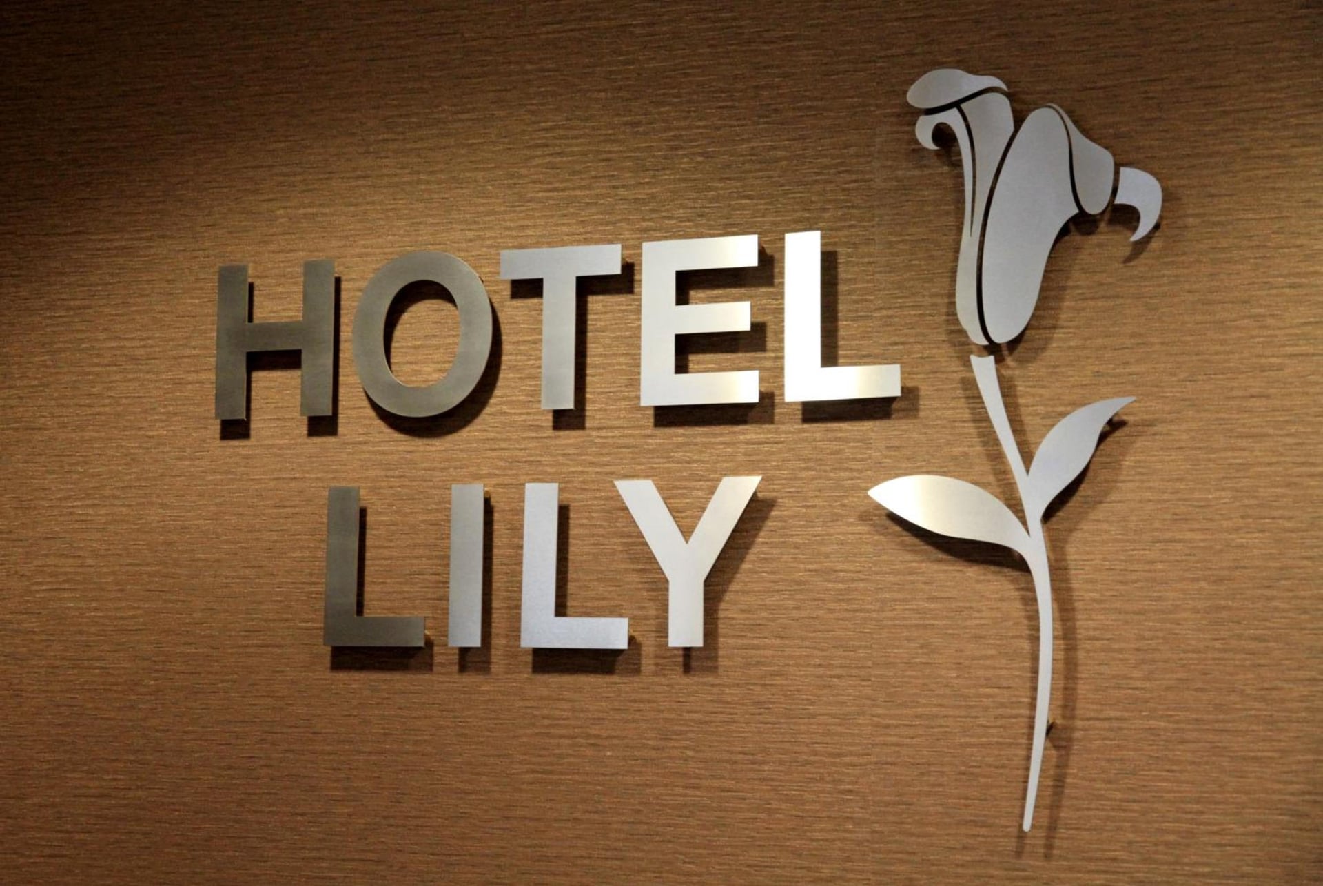 Hotel Lily, London, foto 5