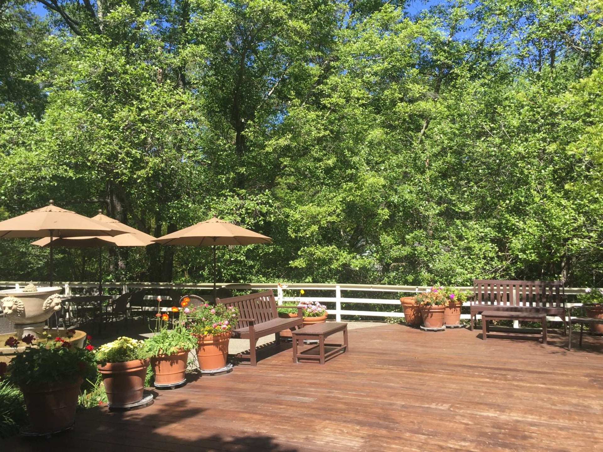 The Jack London Lodge, Glen Ellen, foto 5