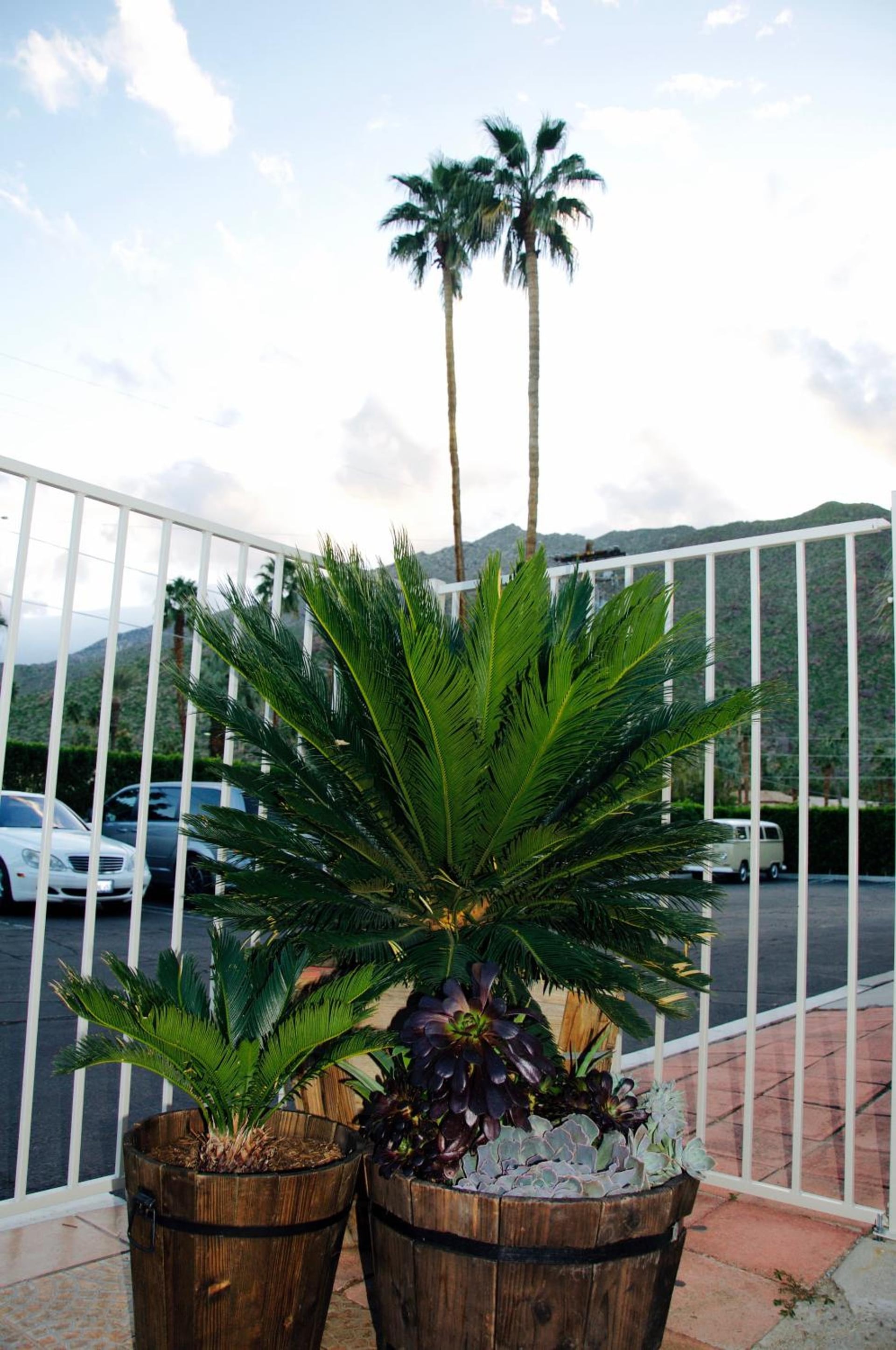 Delos Reyes Palm Springs, Palm Springs, foto 4