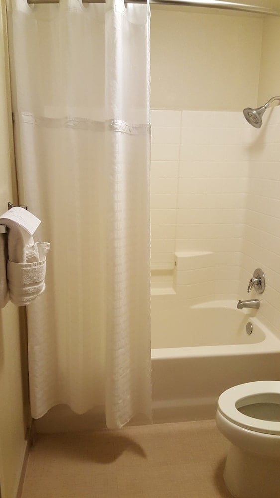 Comfort Inn & Suites Sequoia/Kings Canyon, Three Rivers, foto 4