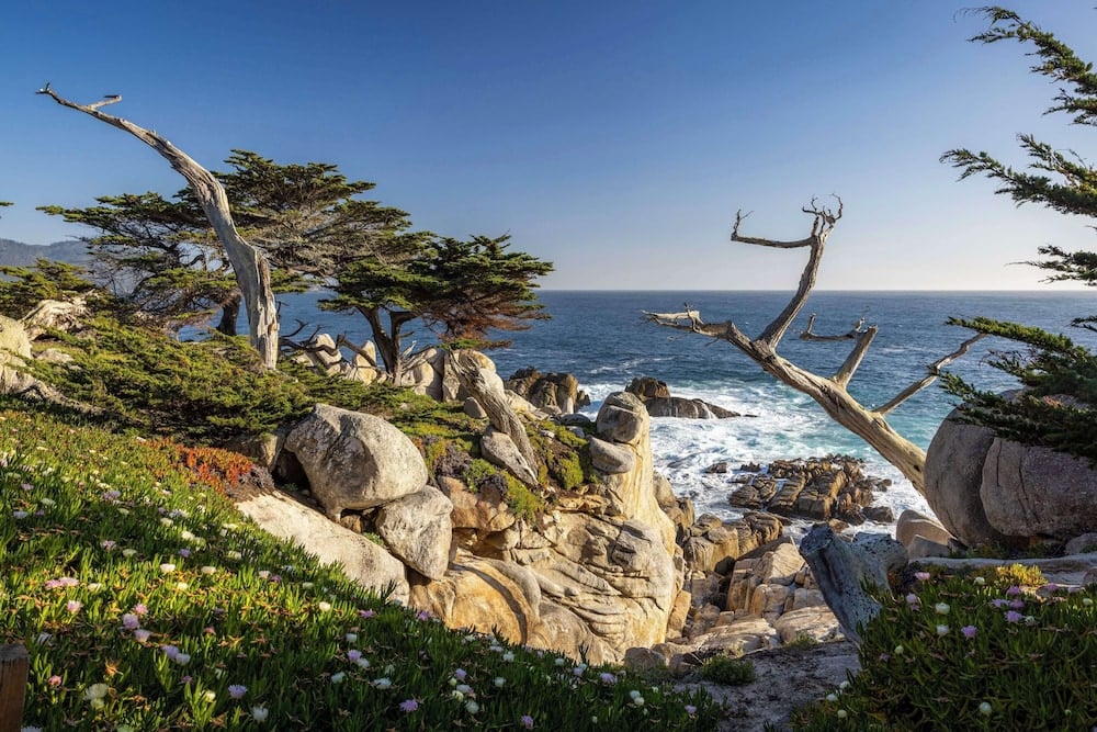 Home2 Suites by Hilton at the Dunes on Monterey Bay, Marina, foto 5