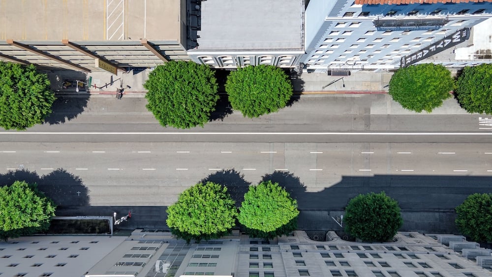 The O Hotel, Trademark Collection by Wyndham, Los Angeles, foto 2