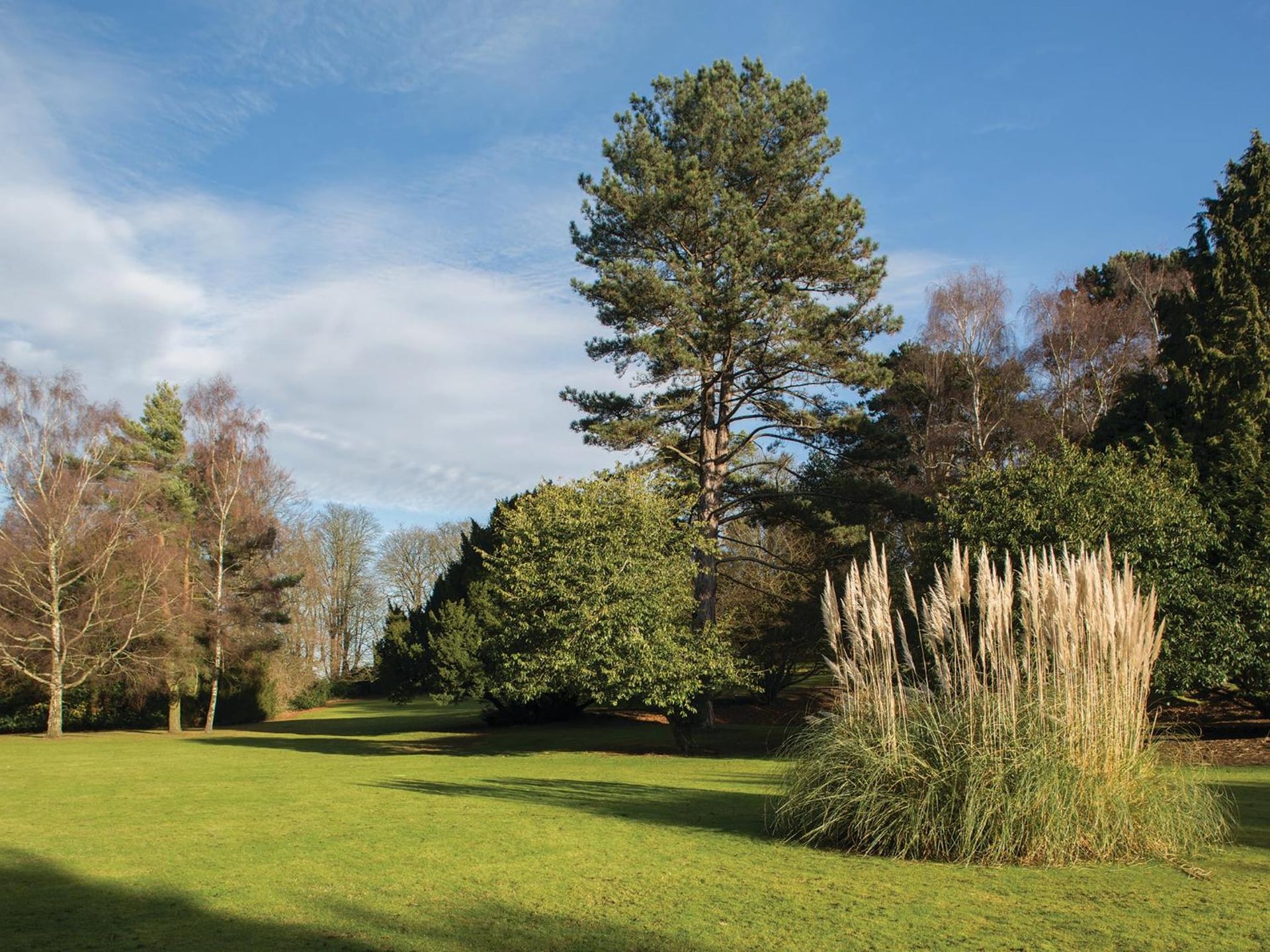 Brandshatch Place Hotel & Spa, Dartford, foto 5