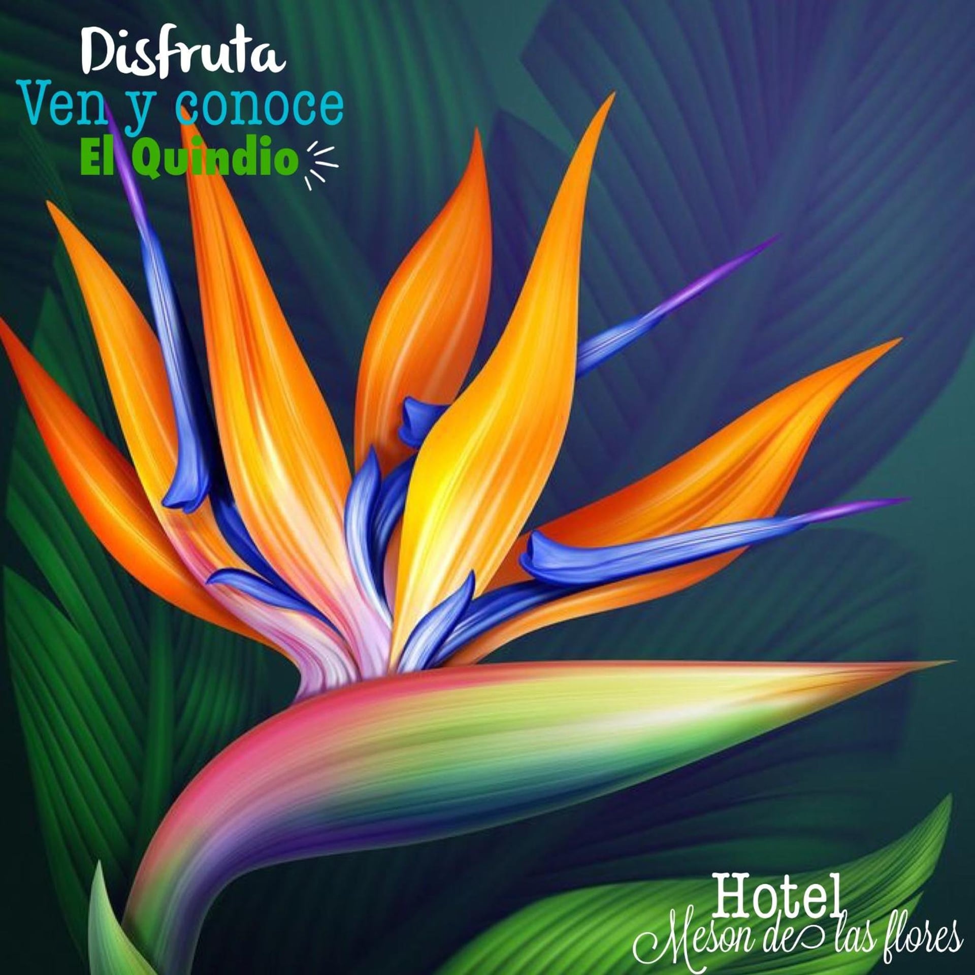 Hotel Meson de las Flores, Armenia, foto 2