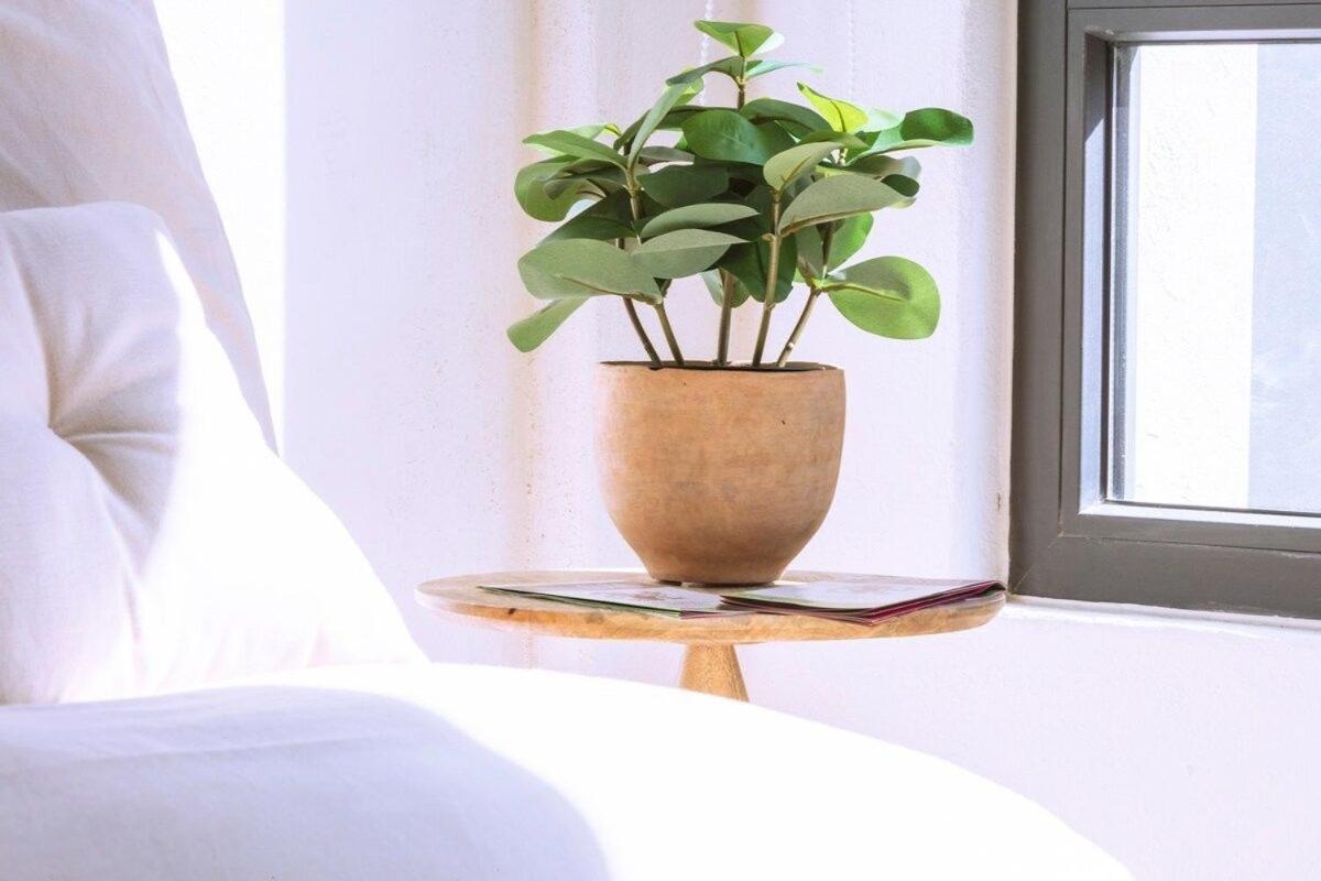 Foto de Exclusivo loft a pasos del Zócalo No lo pierdas