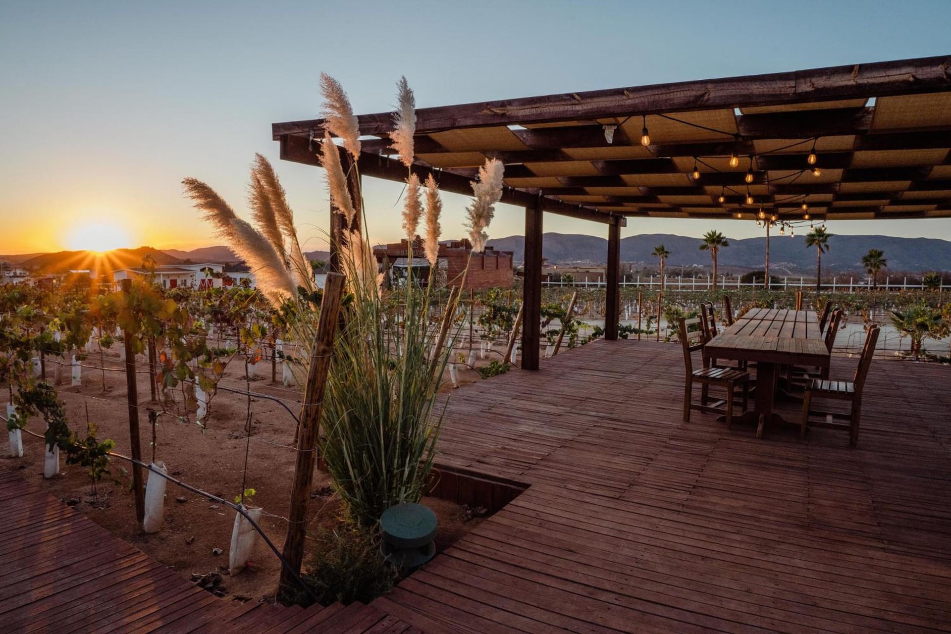 Entrevalle Hotel Boutique, Valle de Guadalupe, foto 4