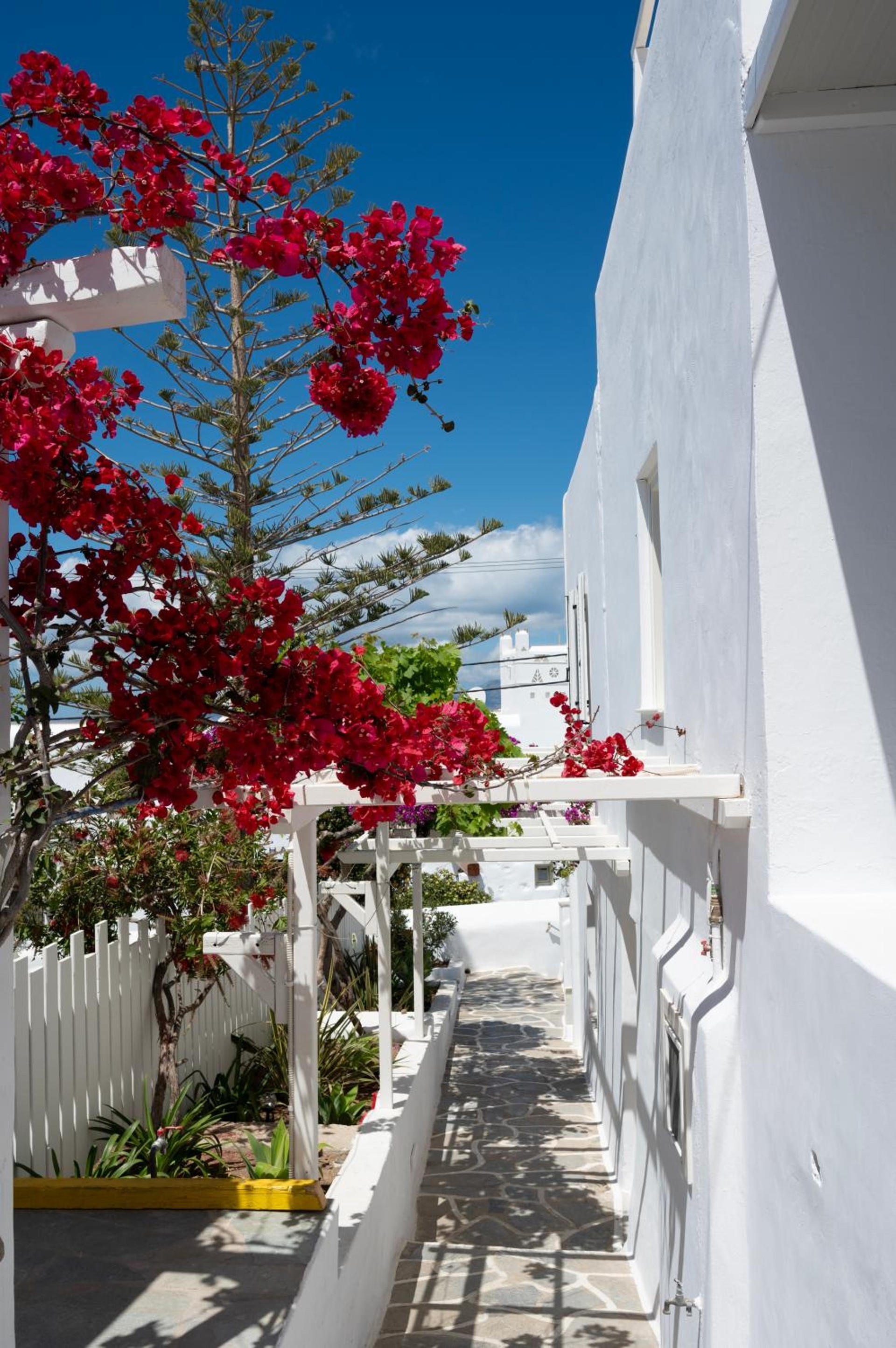 Boutique di Vito, Mýkonos City